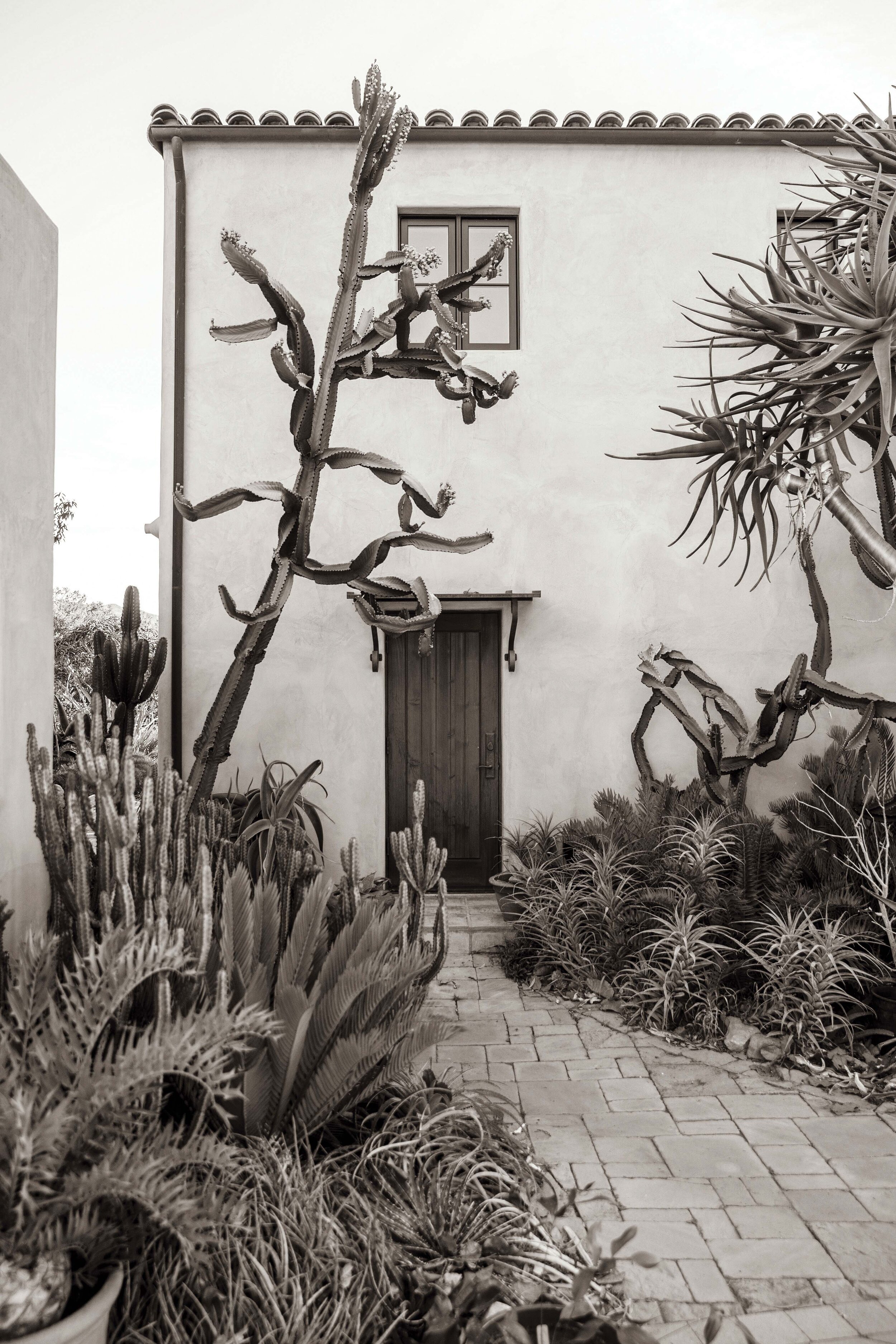  Combining artistry and architecture, succulents help frame the home. 