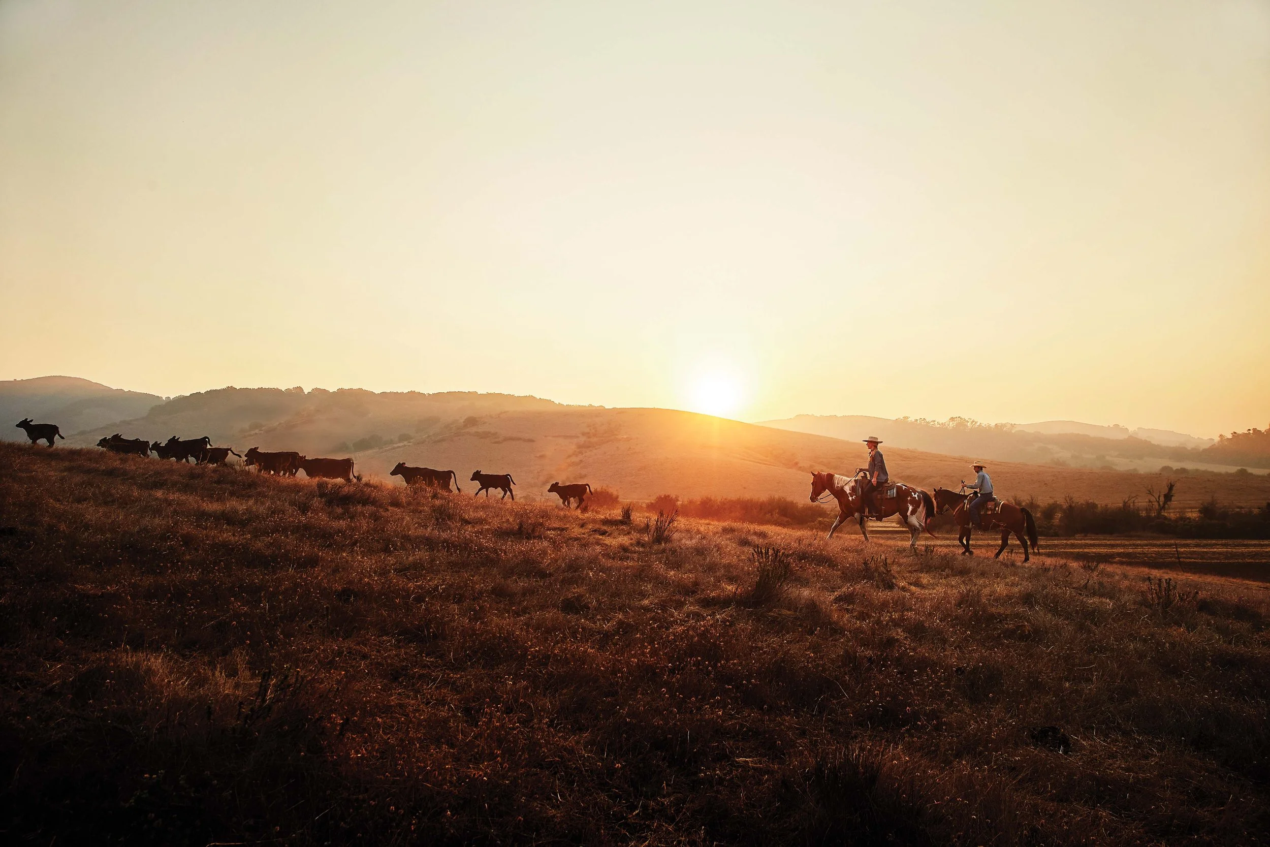 Ranch to Network