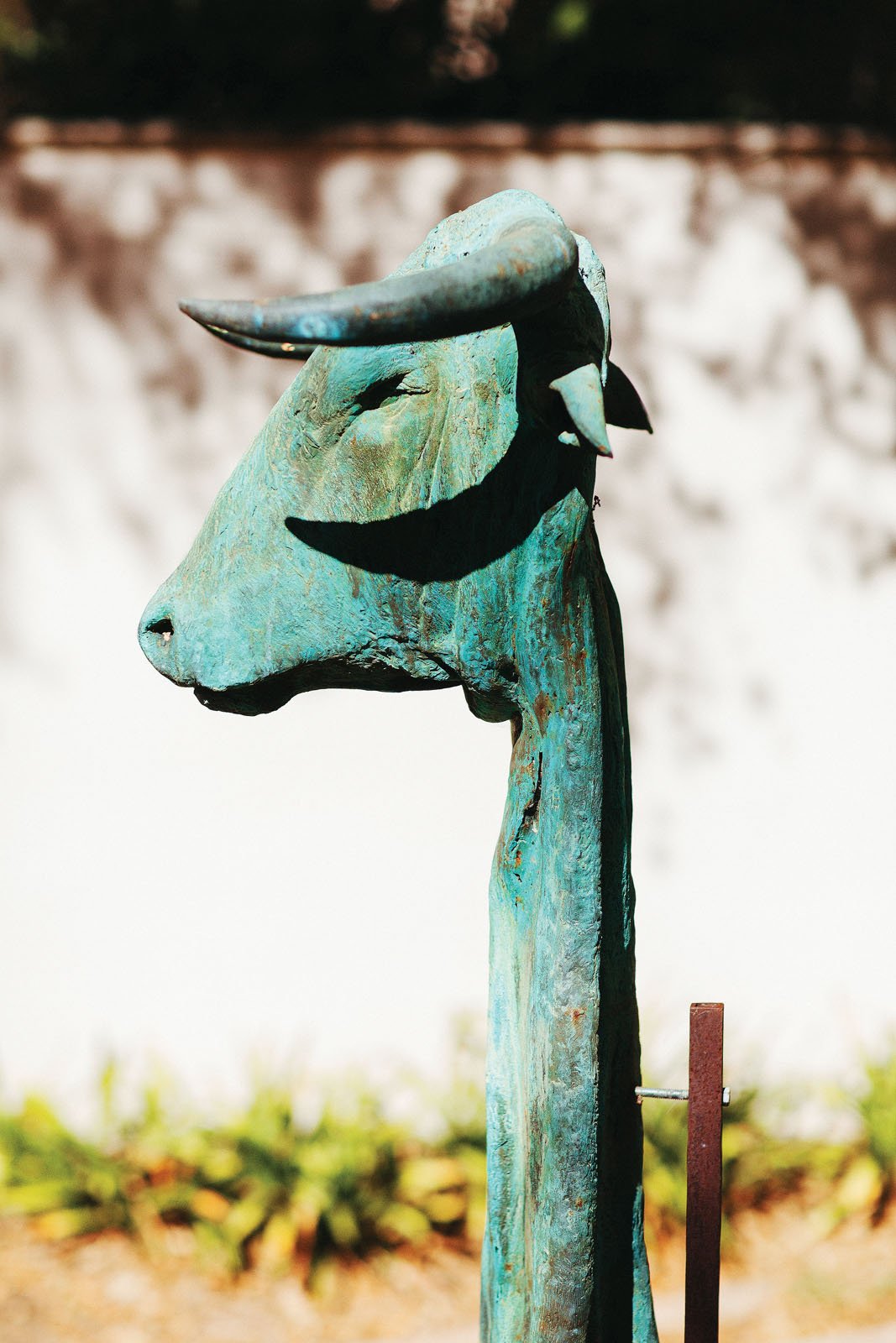   Marcado , a head of a Domecq bull that the artist immortalized in bronze. 