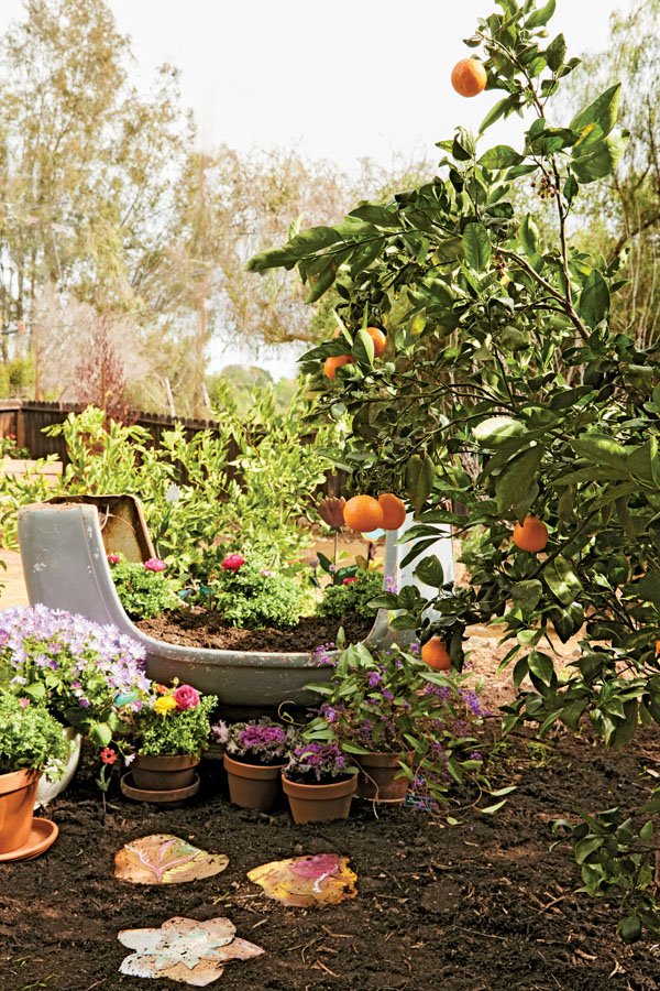  fruit trees and potted plants bloom. 