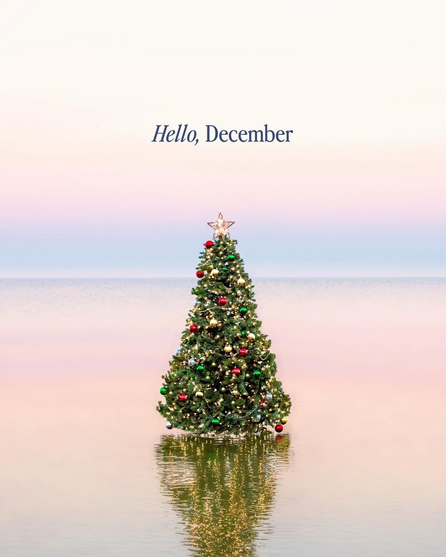 One of our favorite contributing photographers @graymalin sets the mood for December 1 &mdash;who is ready for the season!

#weliveinparadise #december #festivemood