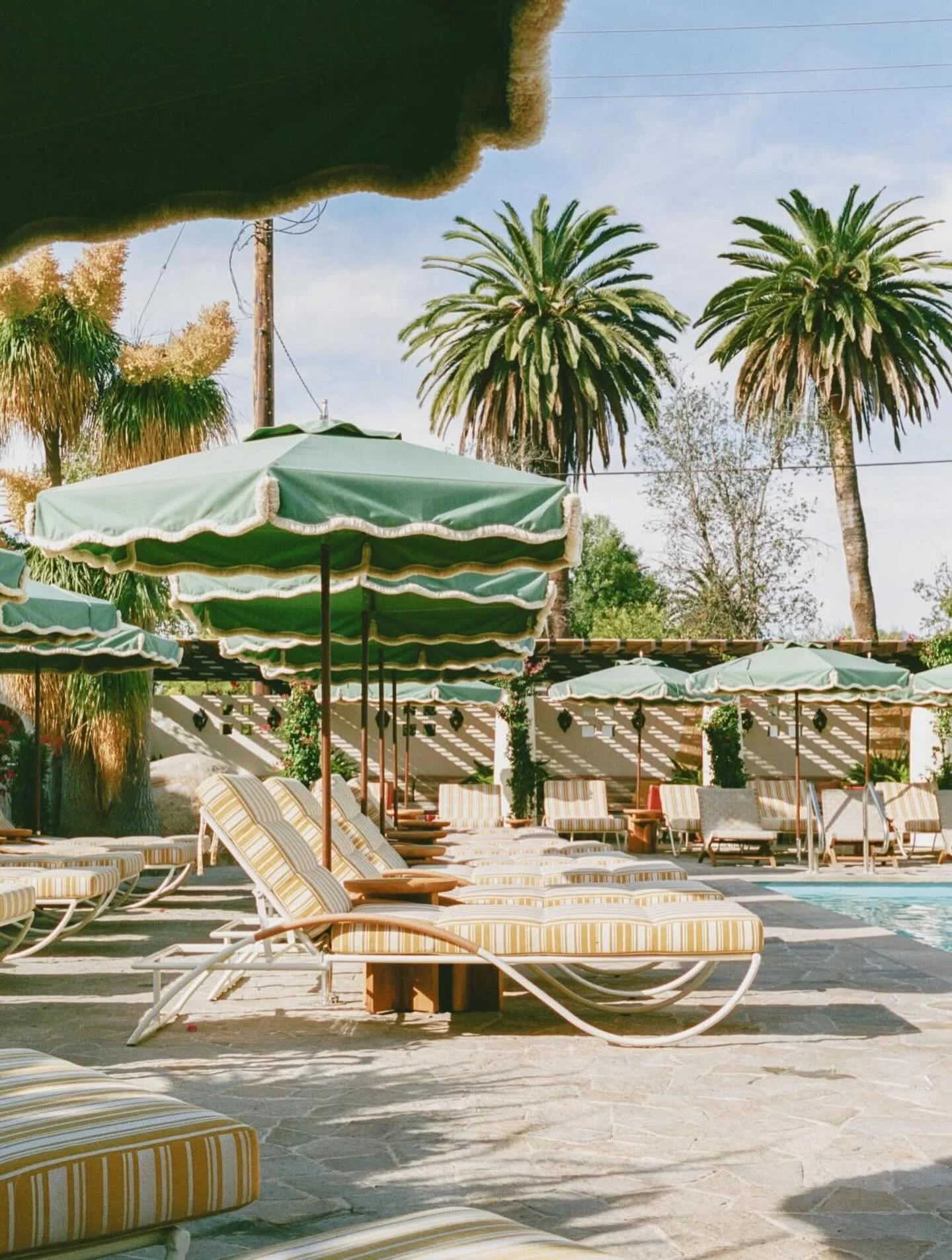 Ya know&hellip; just Winter in California 

71 degrees, poolside @theroblar 

📸@kaylaschmah