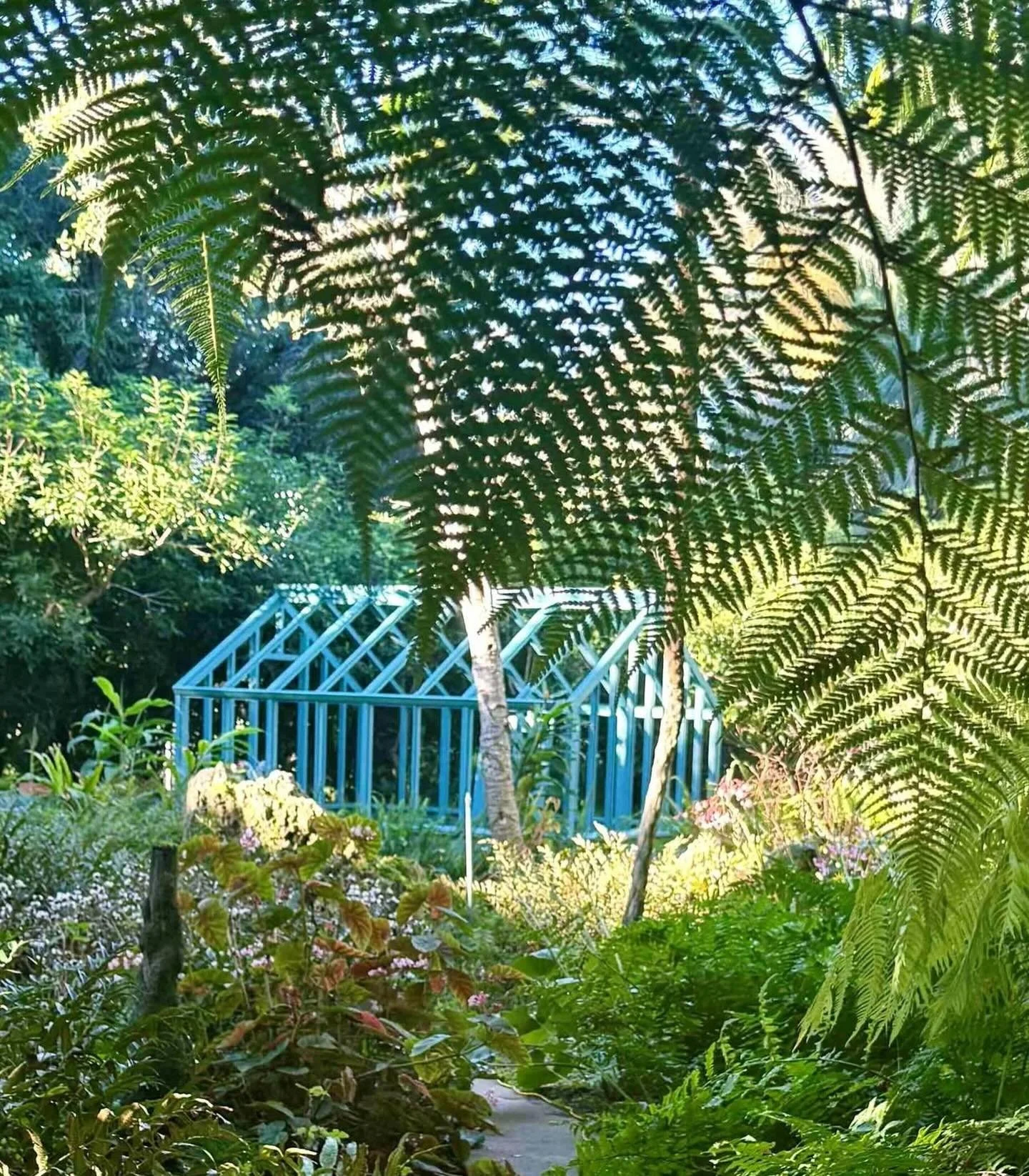 The newly revitalized George Washington Smith greenhouse is now accessible @lotusland_gannawalska Fern Garden. After many months of restoration projects, our prized property reopens tommorow March 11. 

#weliveinparadise #andsodidGanna #botanicalgard