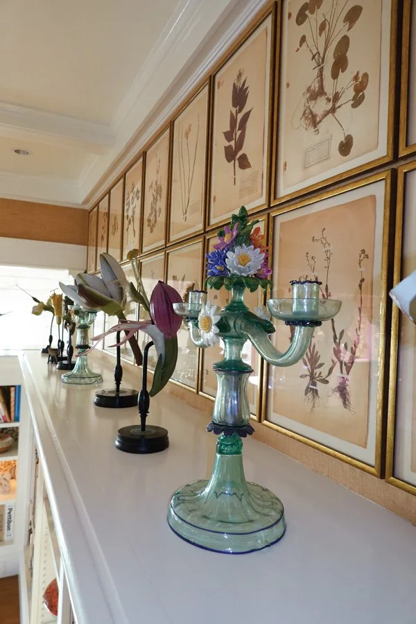  A rare collection of framed herbarium specimens is fronted by Venetian glass candelabras. 