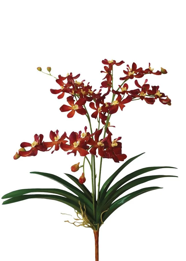  Mocha Brown Faux Blooming Vanda Orchid Plant, $68,  afloral.com  