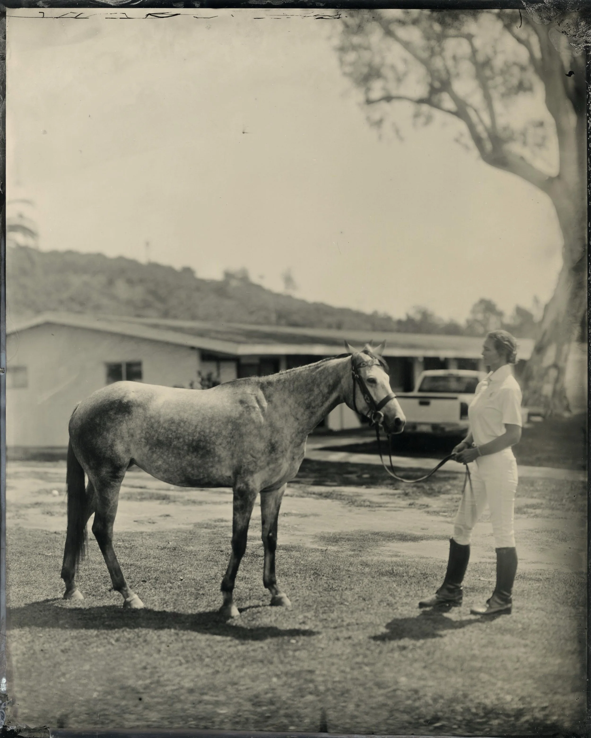 Signs of Summer&hellip;green grass and generations of polo ponies and players @santabarbarapoloclub 

Memorial Day weekend is always packed with exciting matches on Friday and Sunday&mdash;don&rsquo;t miss booking your own tintype portrait with @thea