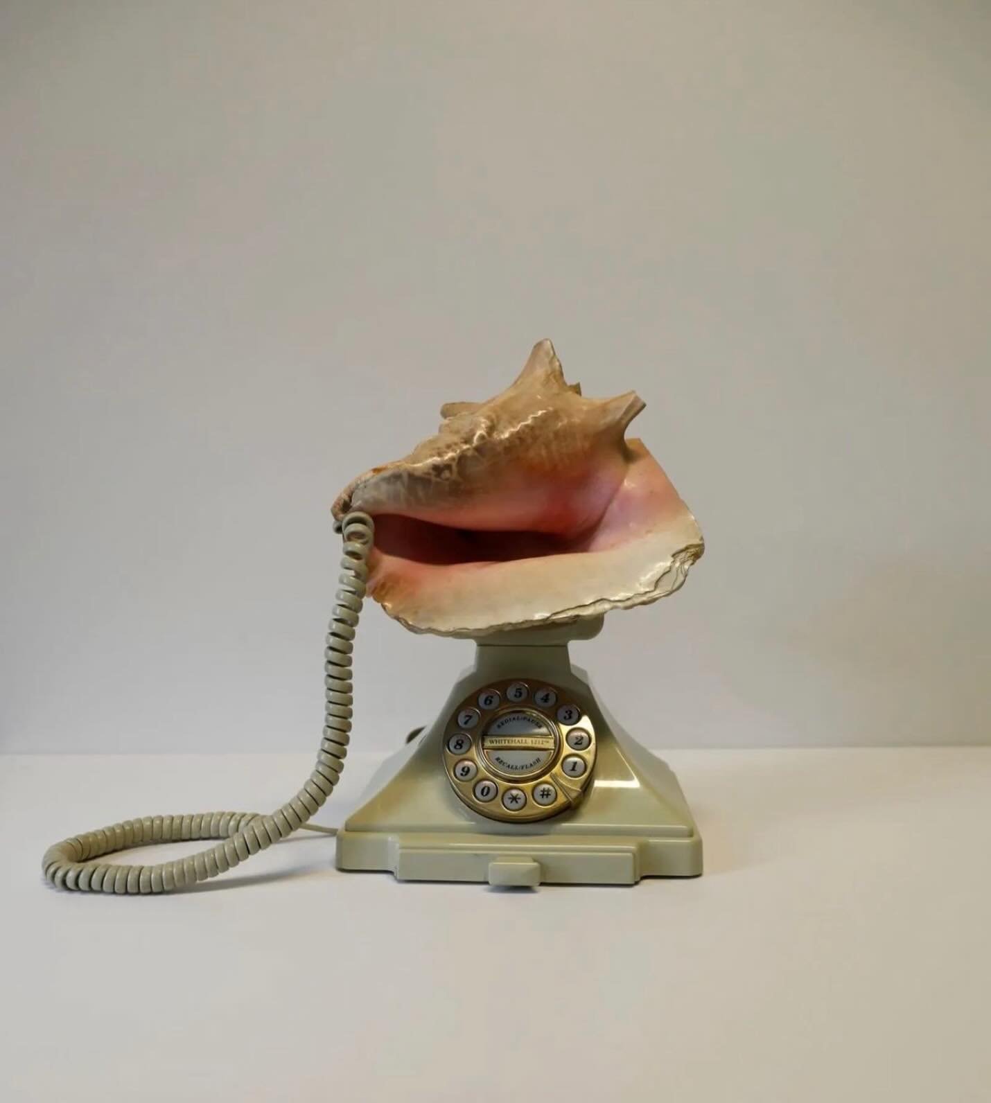 Signs of Summer&hellip;a direct line to the sea

Shell Telephone Sculpture, Rosemary Jane Cronin, 2025 
via gertrude.com

#weliveinparadise #shellphone #directlinetothesea