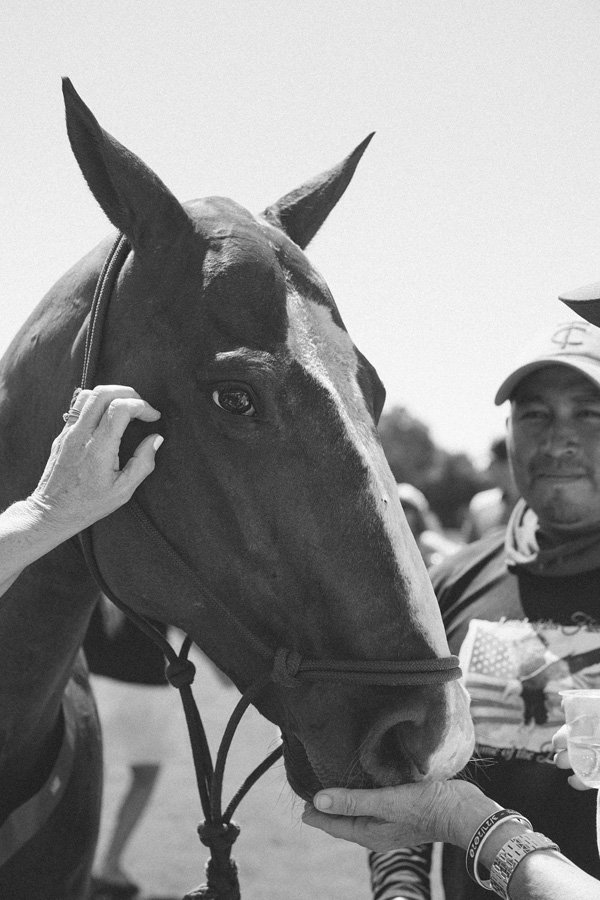 b&w_FoldedHillsPoloClassic2026_EmmyLaine-018.jpg