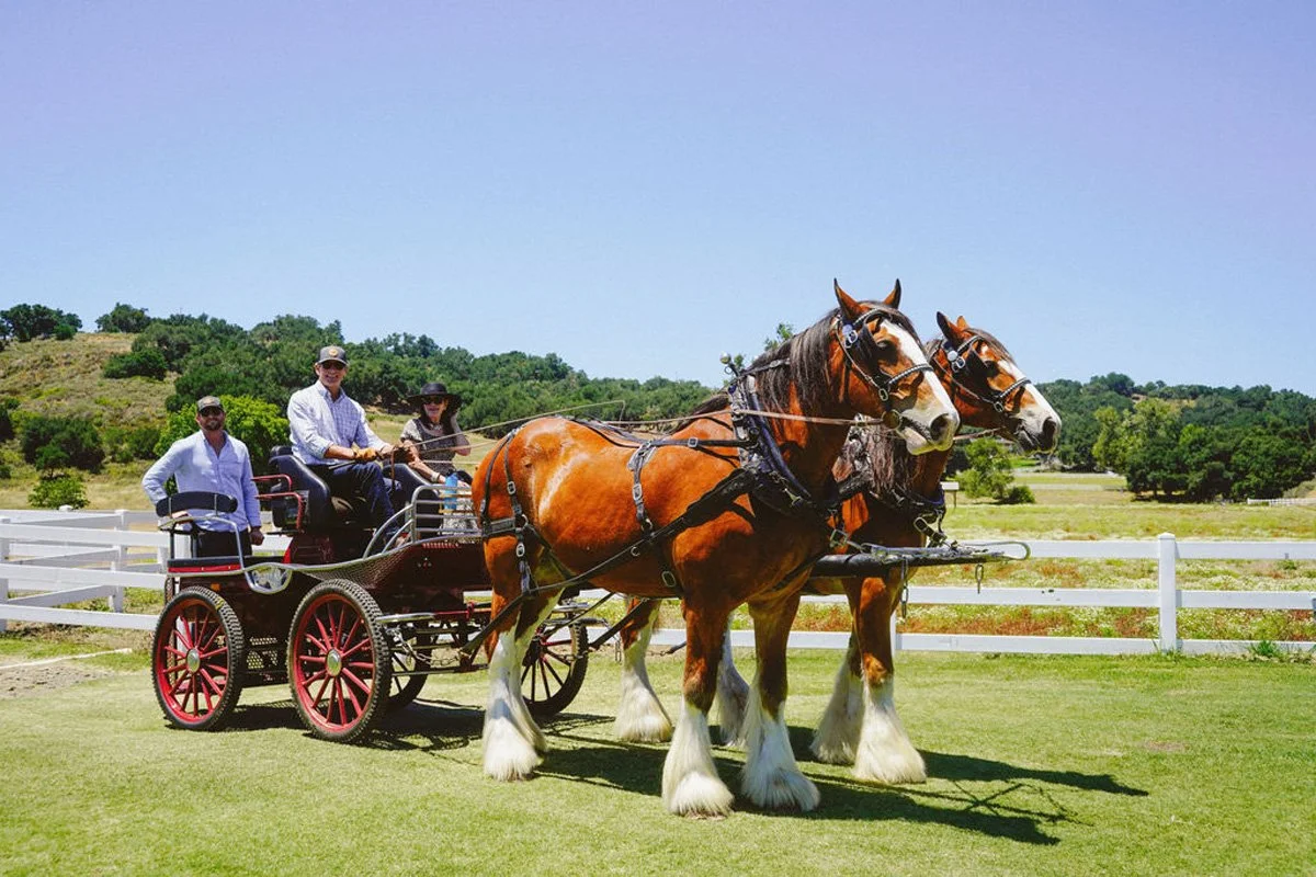 FoldedHillsPoloClassic2026_EmmyLaine-179.jpg
