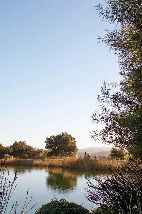  The reservoir at the Fess Parker Home Ranch.&nbsp; 
