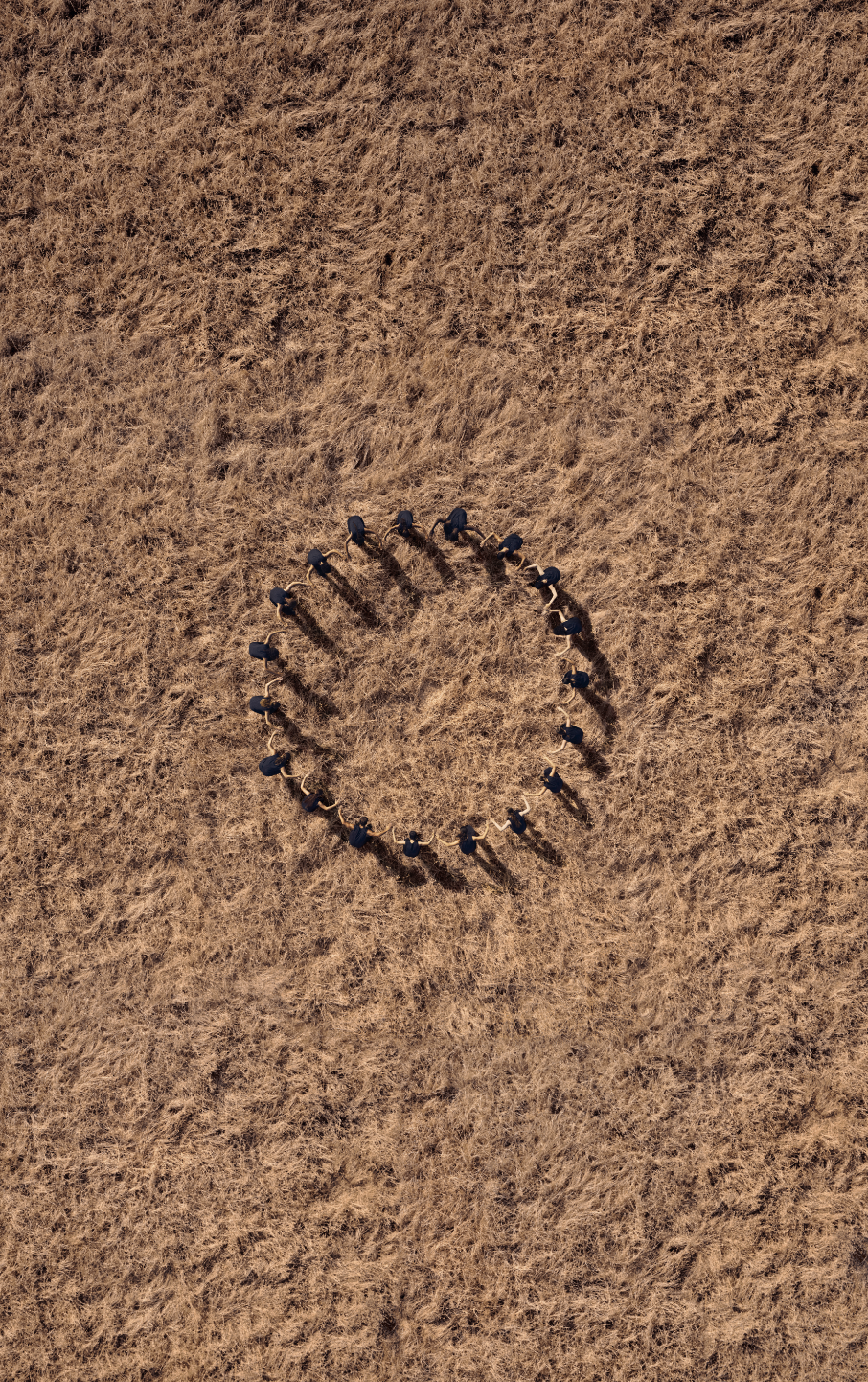 Screenshot 2026-03-05 at 19.30.17.png