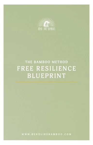 Free Resilience Toolkit