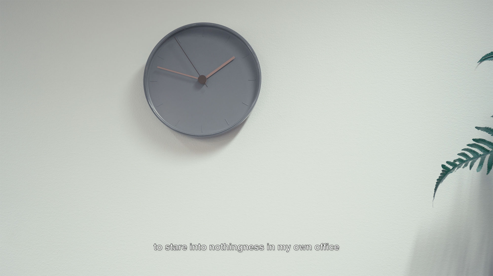 LB_taukotila_still_office copy.png