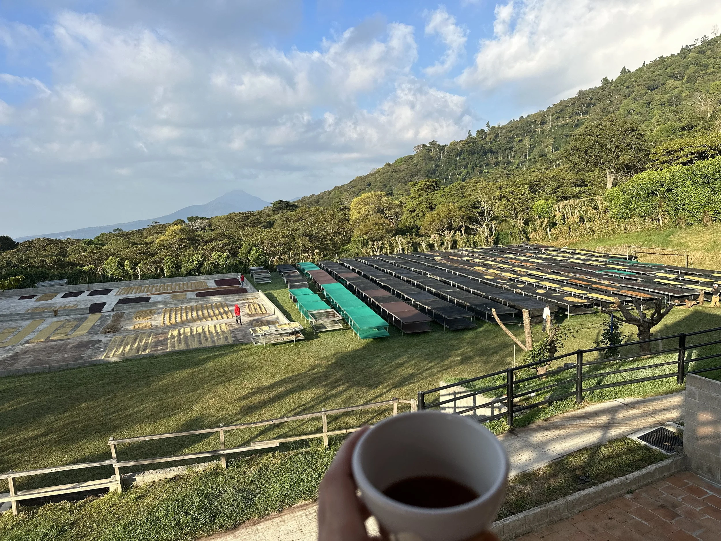 20240111_133658_IMG_4373.jpg