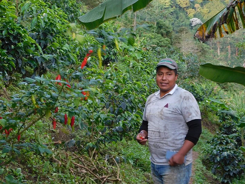 cesar-buesaquillo-profile-picture.jpg
