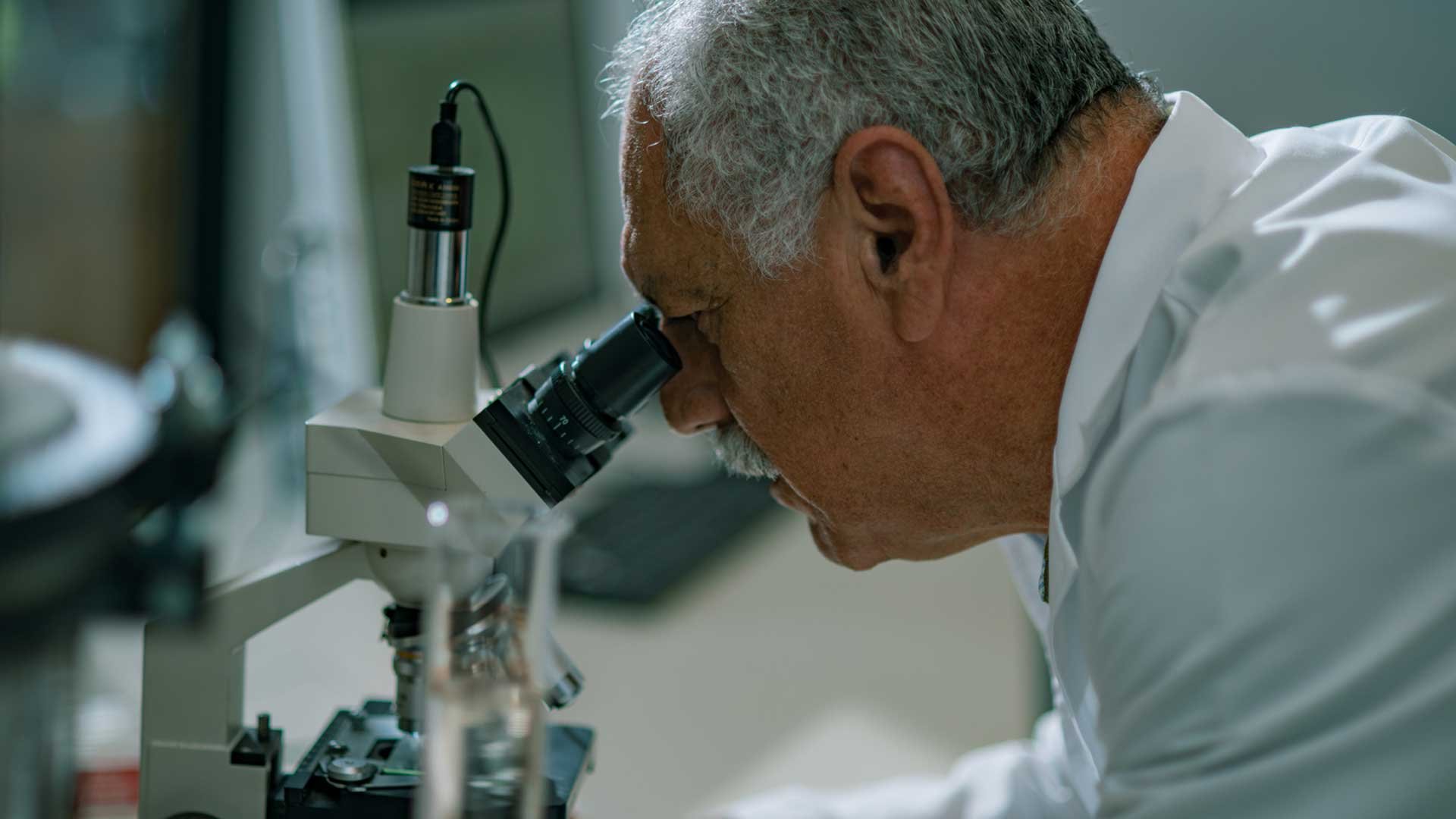 Microbiologia2.jpg