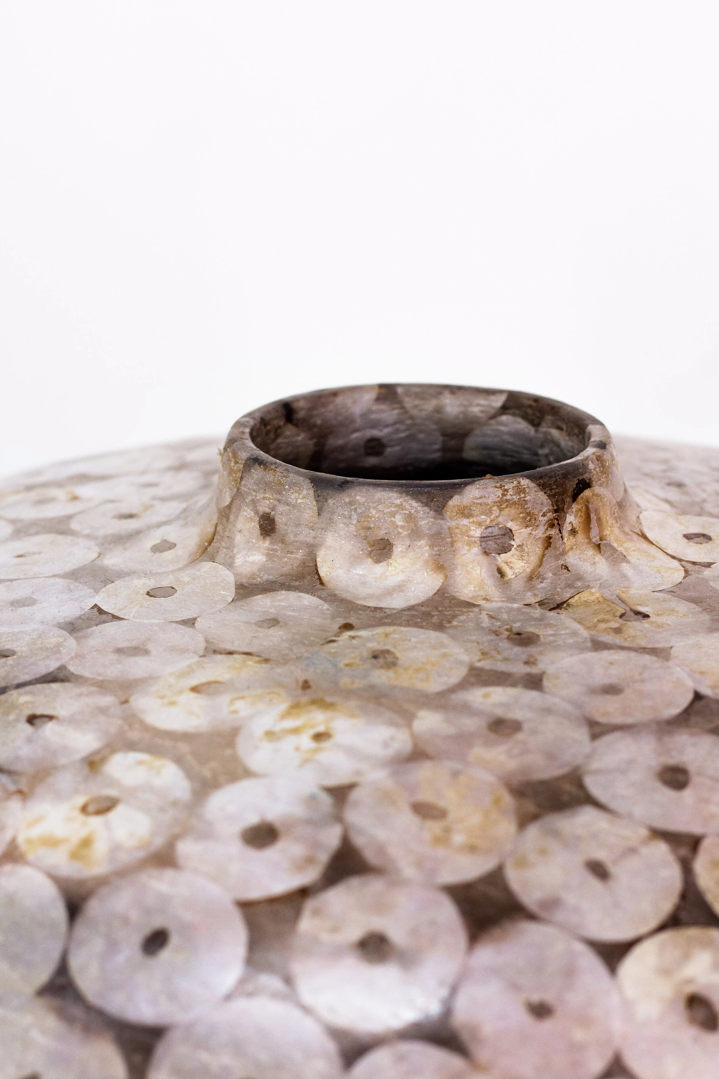 Gallery — JANE SHEPPARD