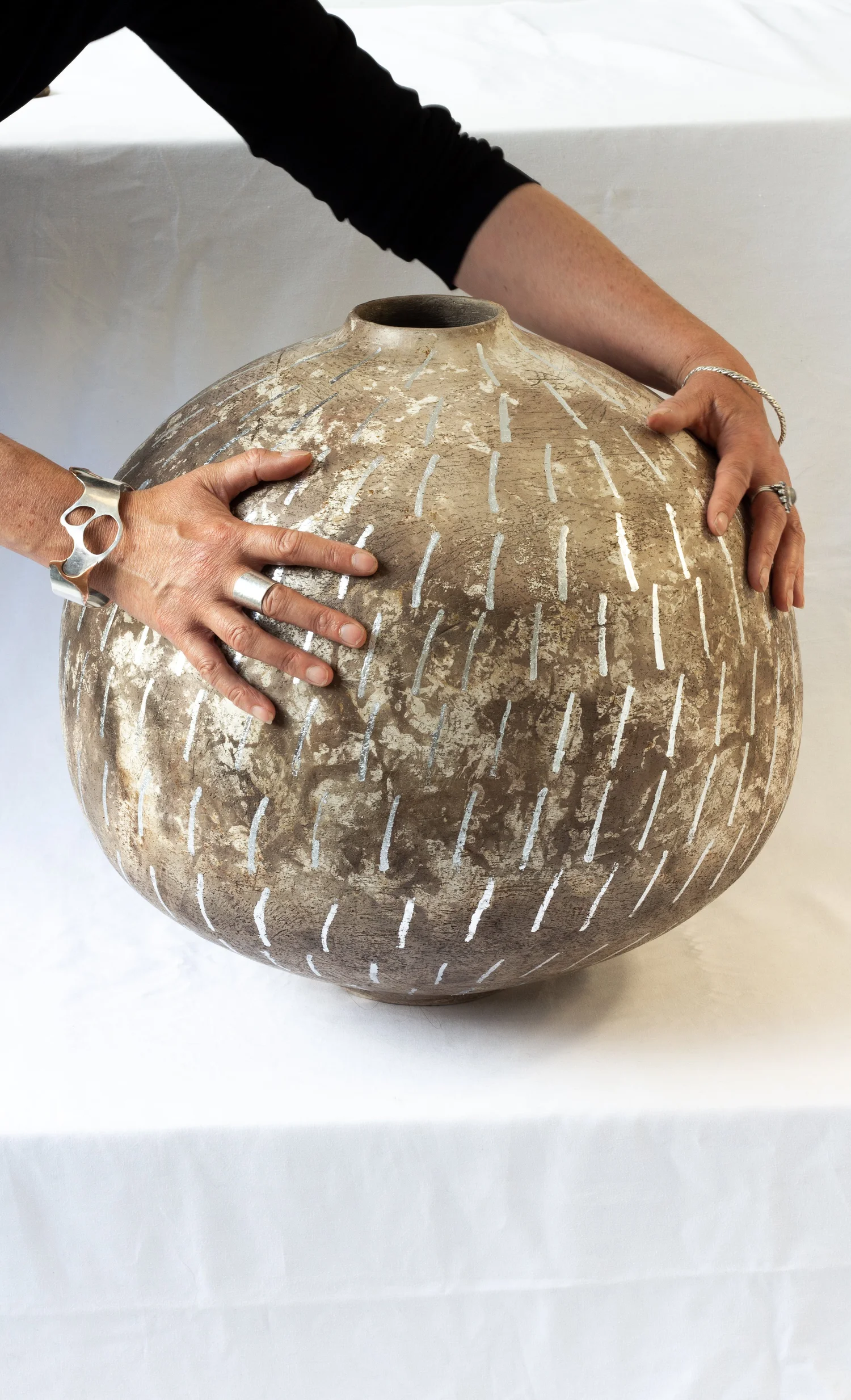 Gallery — JANE SHEPPARD