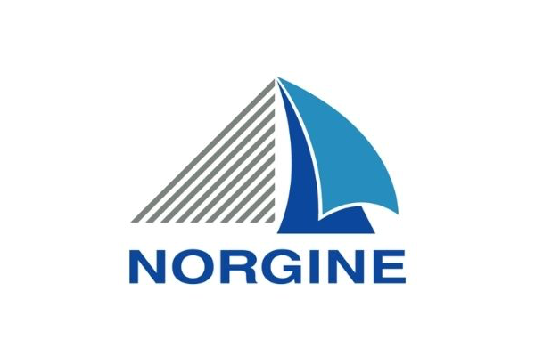 Norgine logo