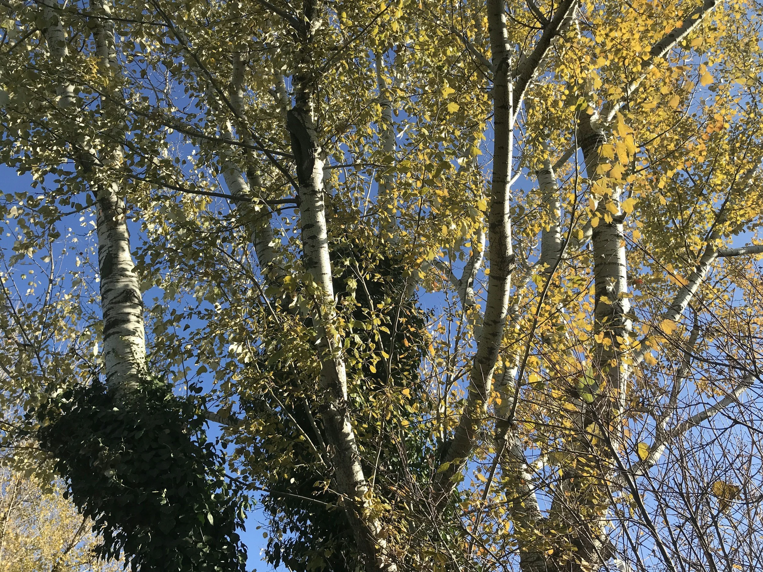 coaching finde deinen weg