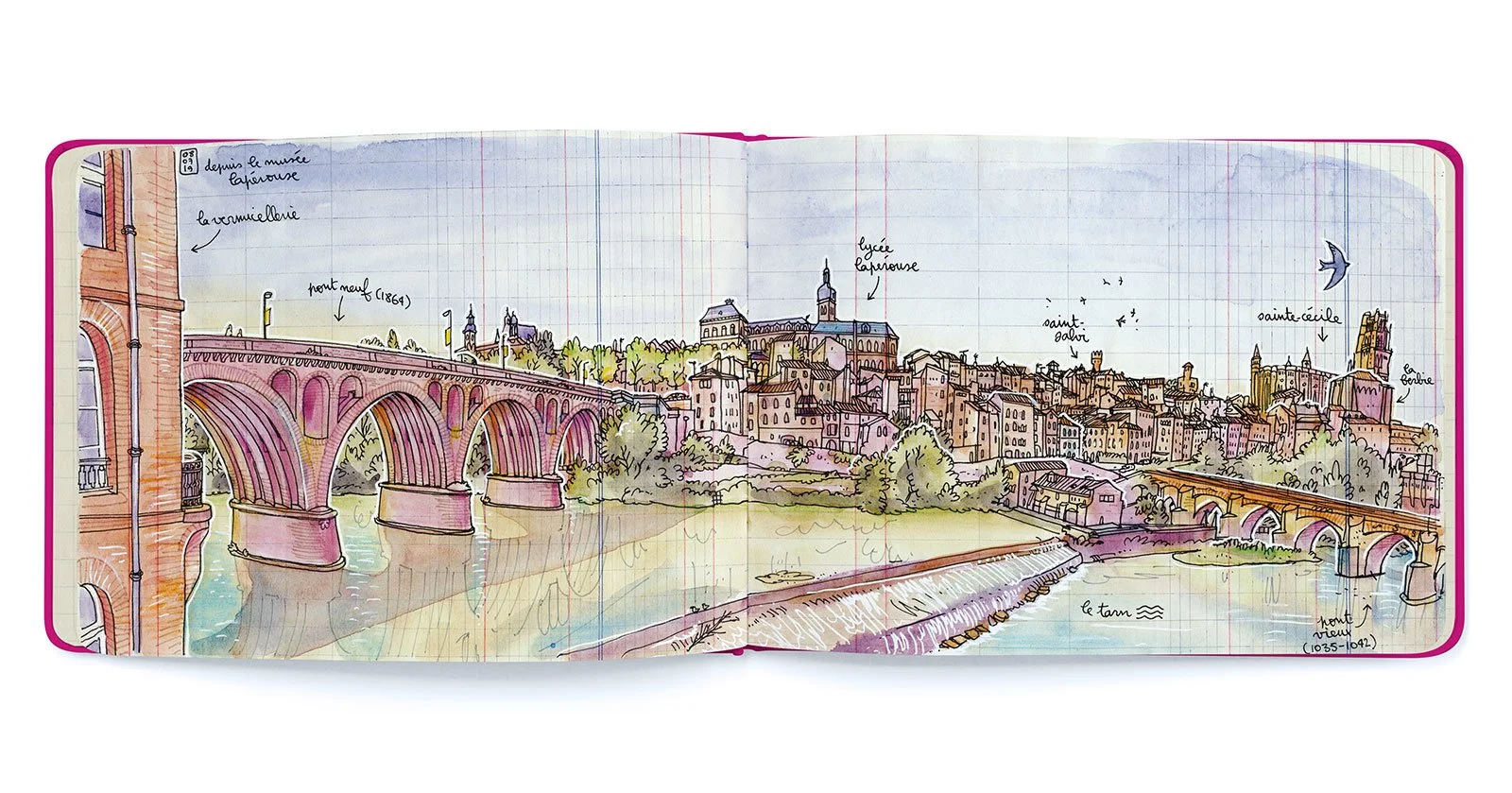 albi_01.jpg