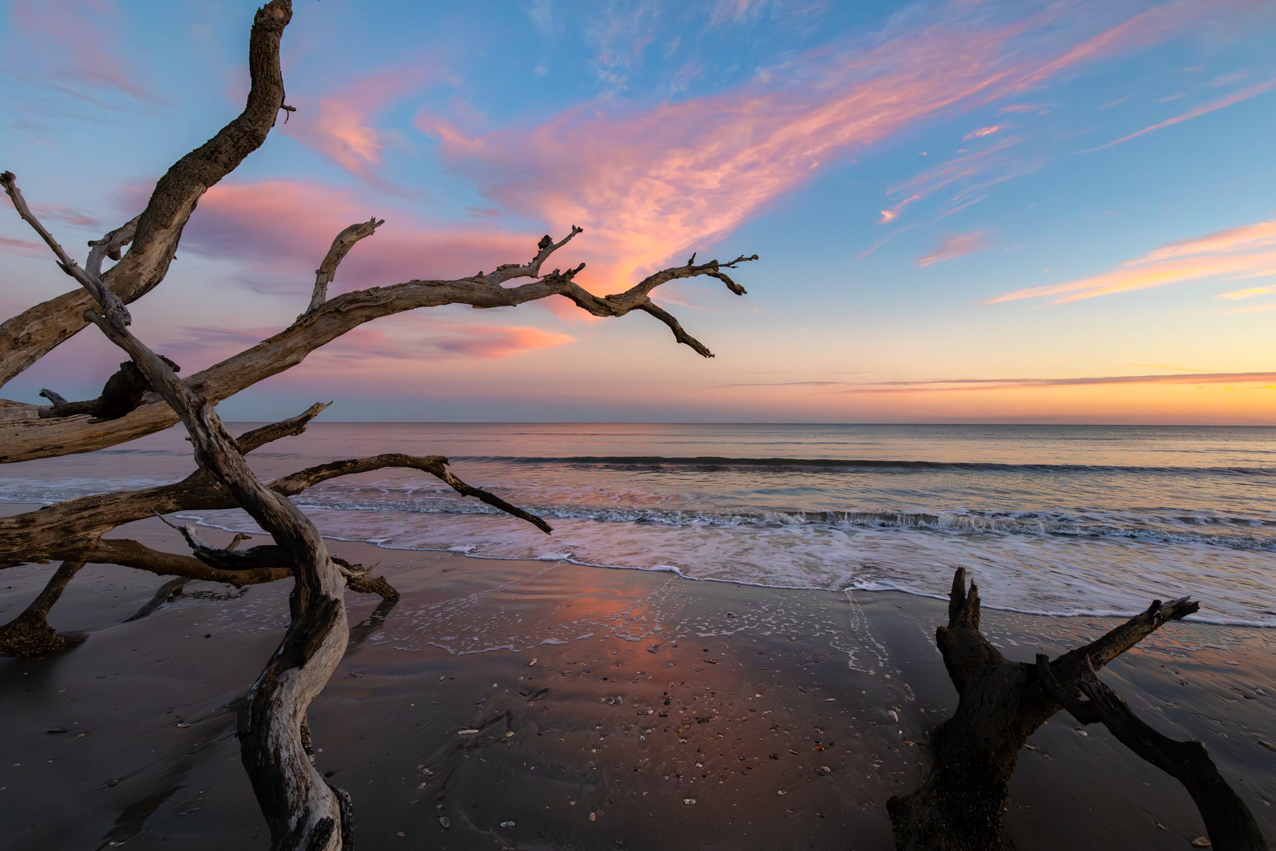 Driftwood Sunset, Boneyard Beach, Edisto Island S.C.