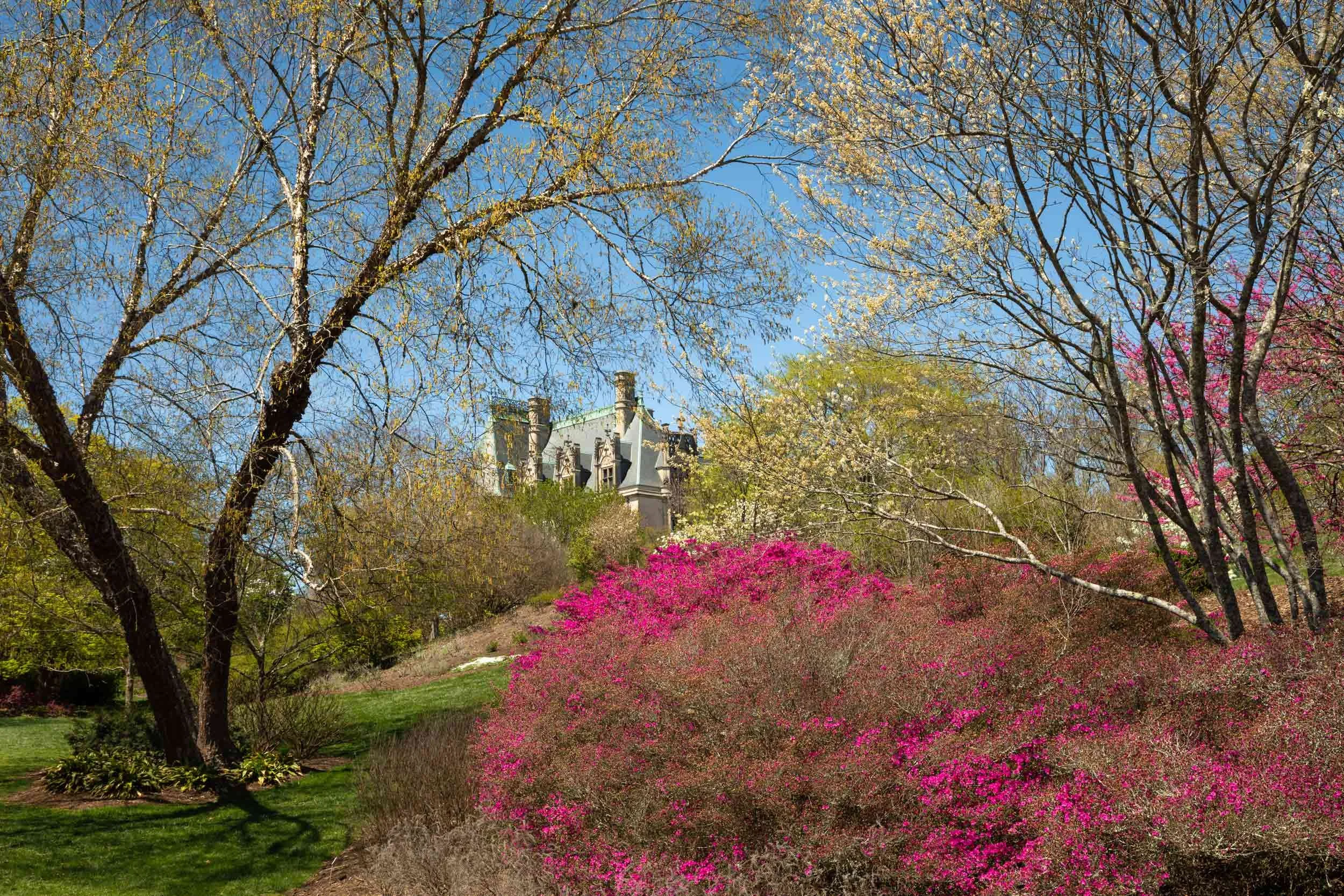 Biltmore House Spring