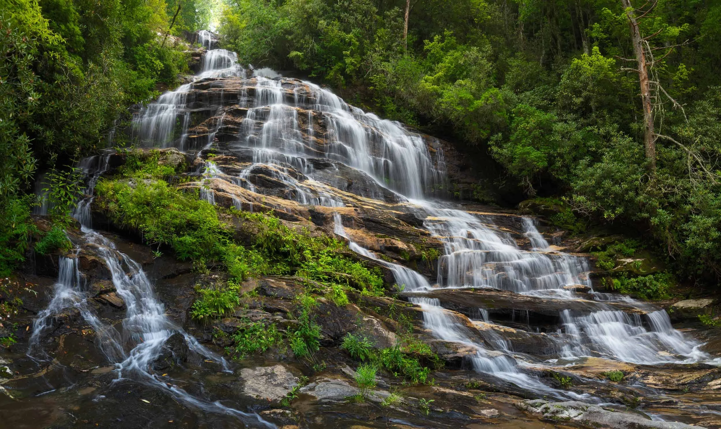 Lower Glen Falls N.C.