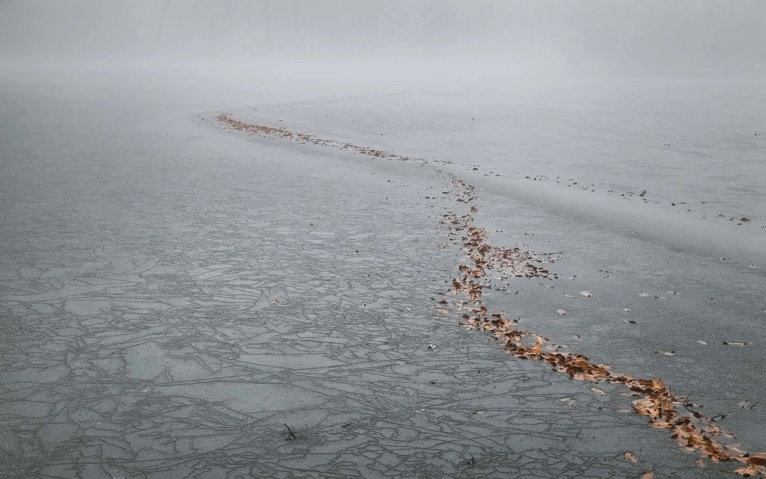 November Freeze at Biltmore Lagoon