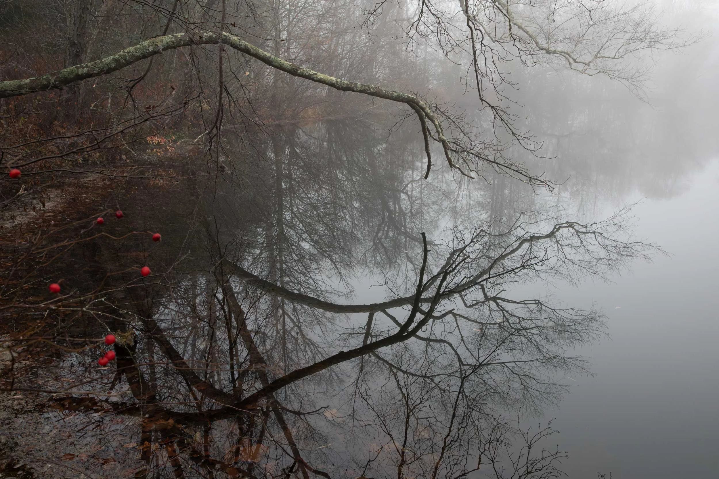 Late Fall Reflection at the Lagoon