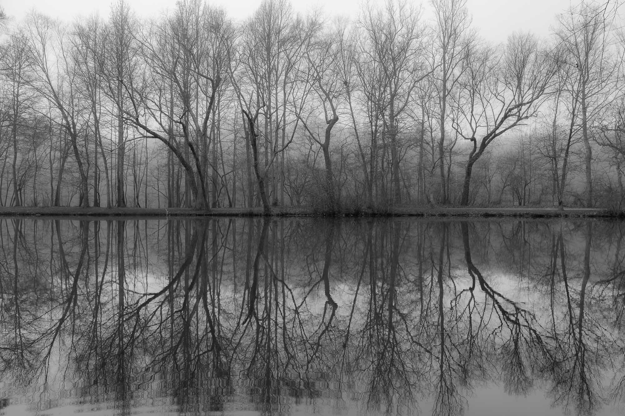 blackandwhite-mystical-reflection.jpg