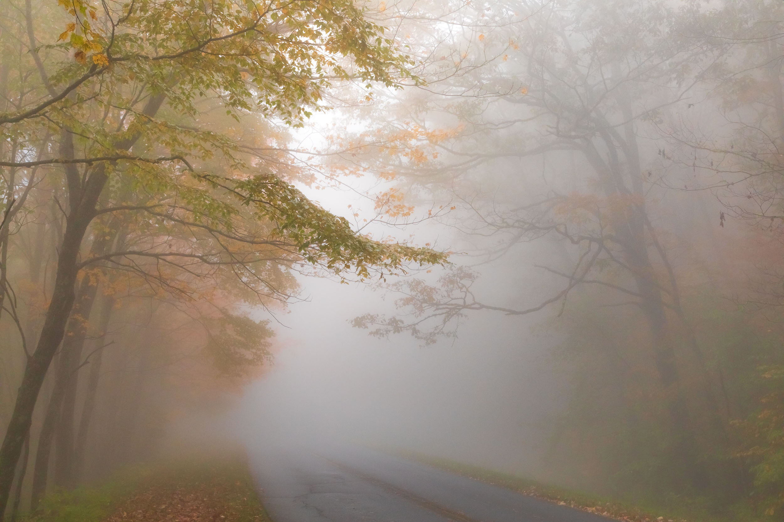 blueridgeparkway-fog-fall.jpg