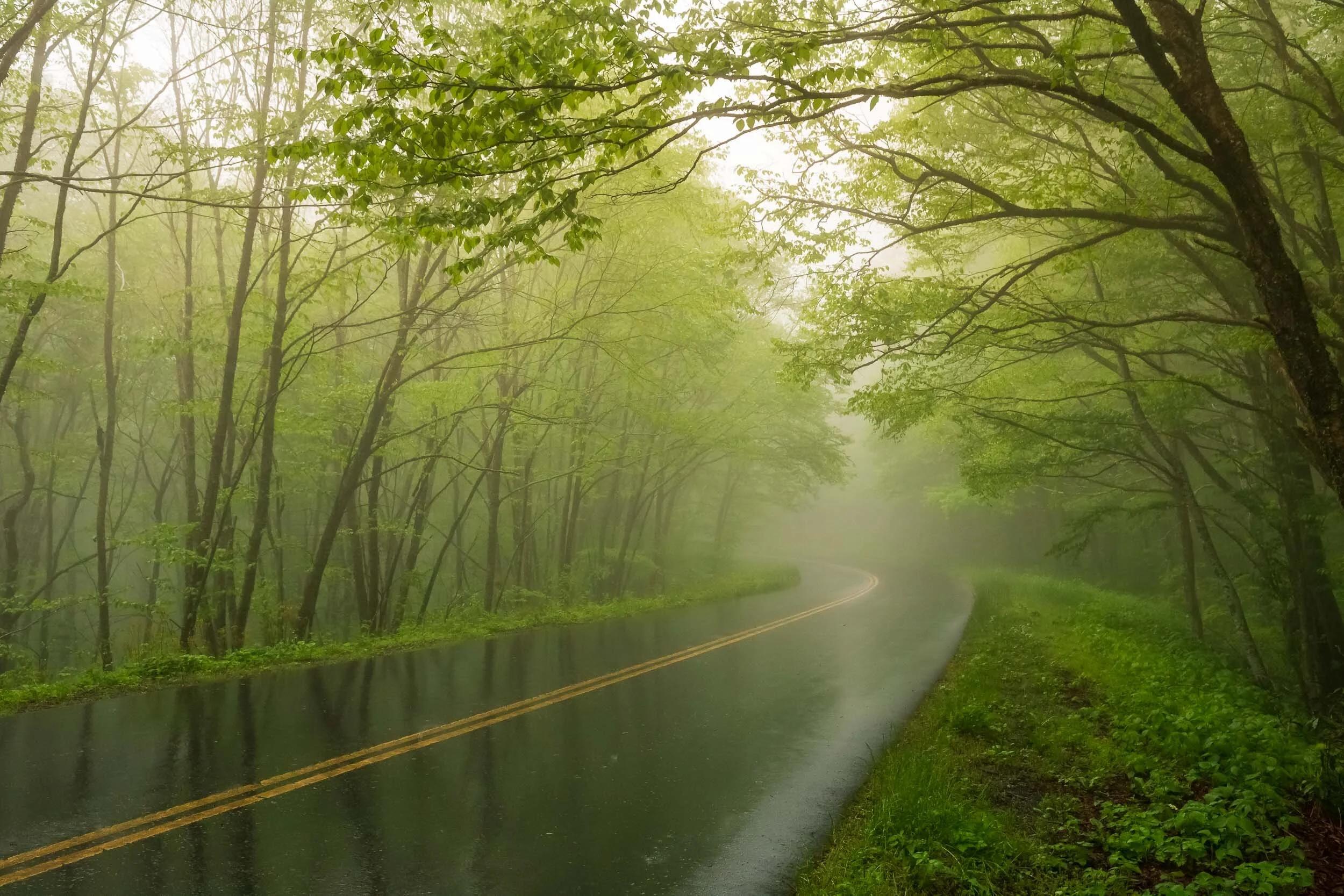 blueridgeparkway-fog.jpg