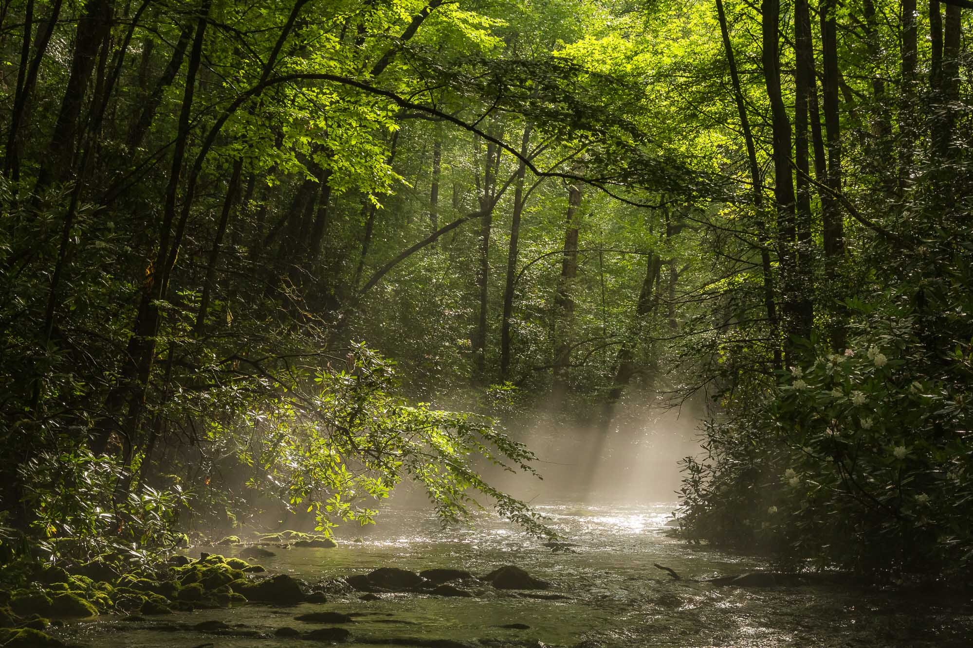 smokymountain-creek.jpg