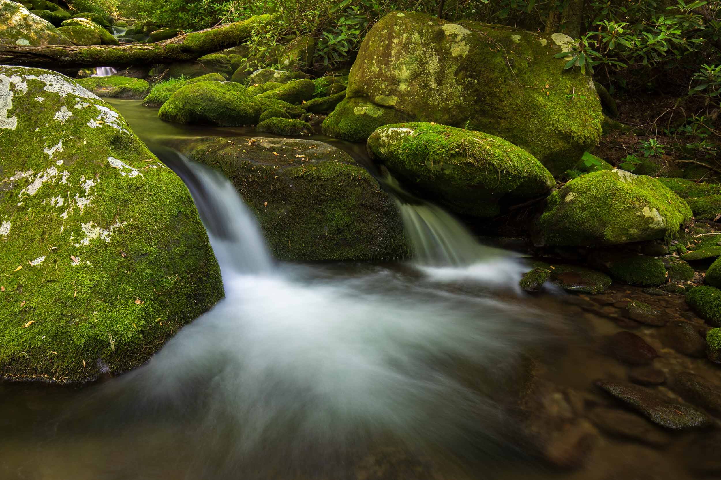 smokymountains-roaringfork2.jpg