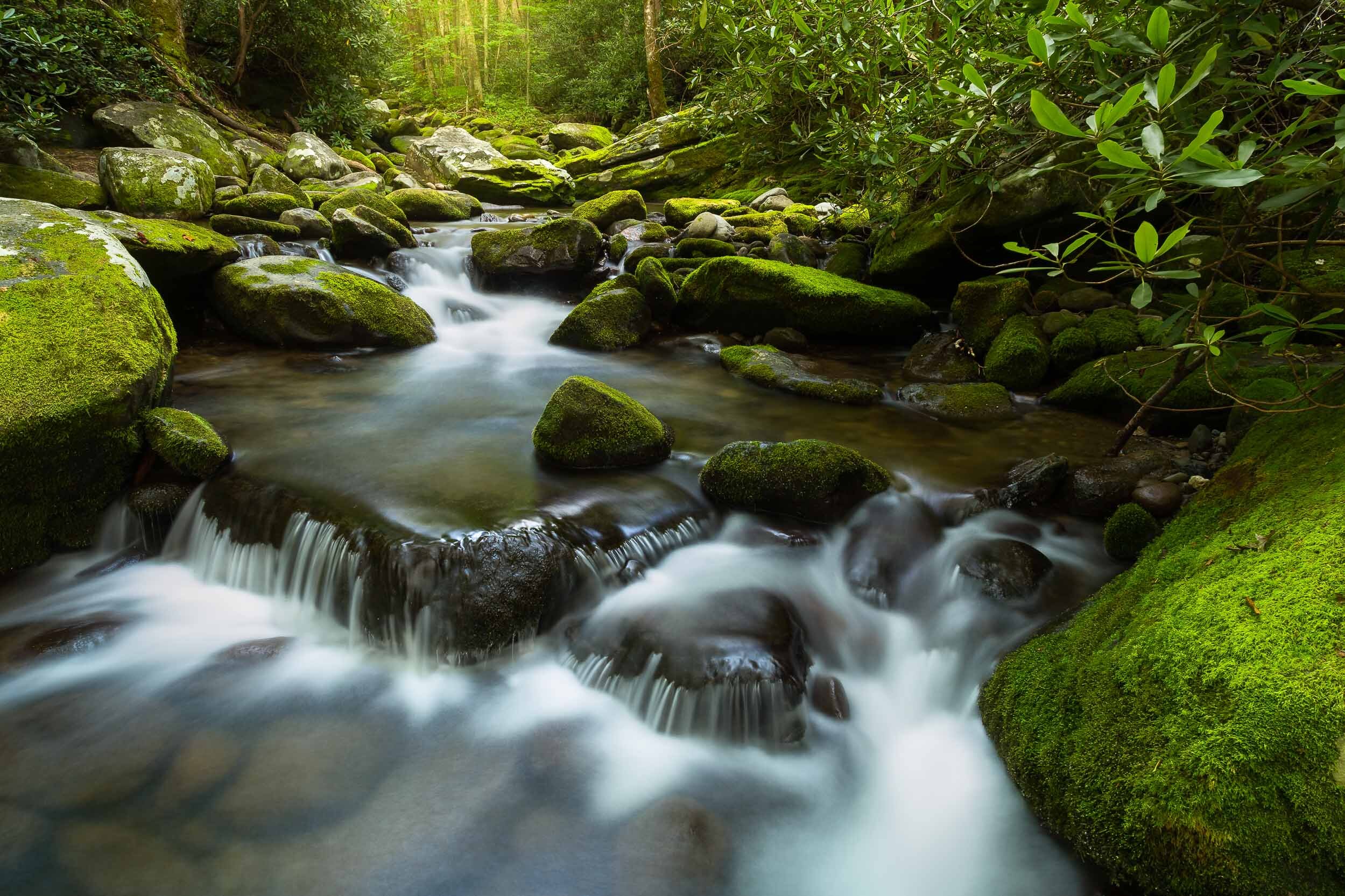 smokymountains-roaringfork4.jpg