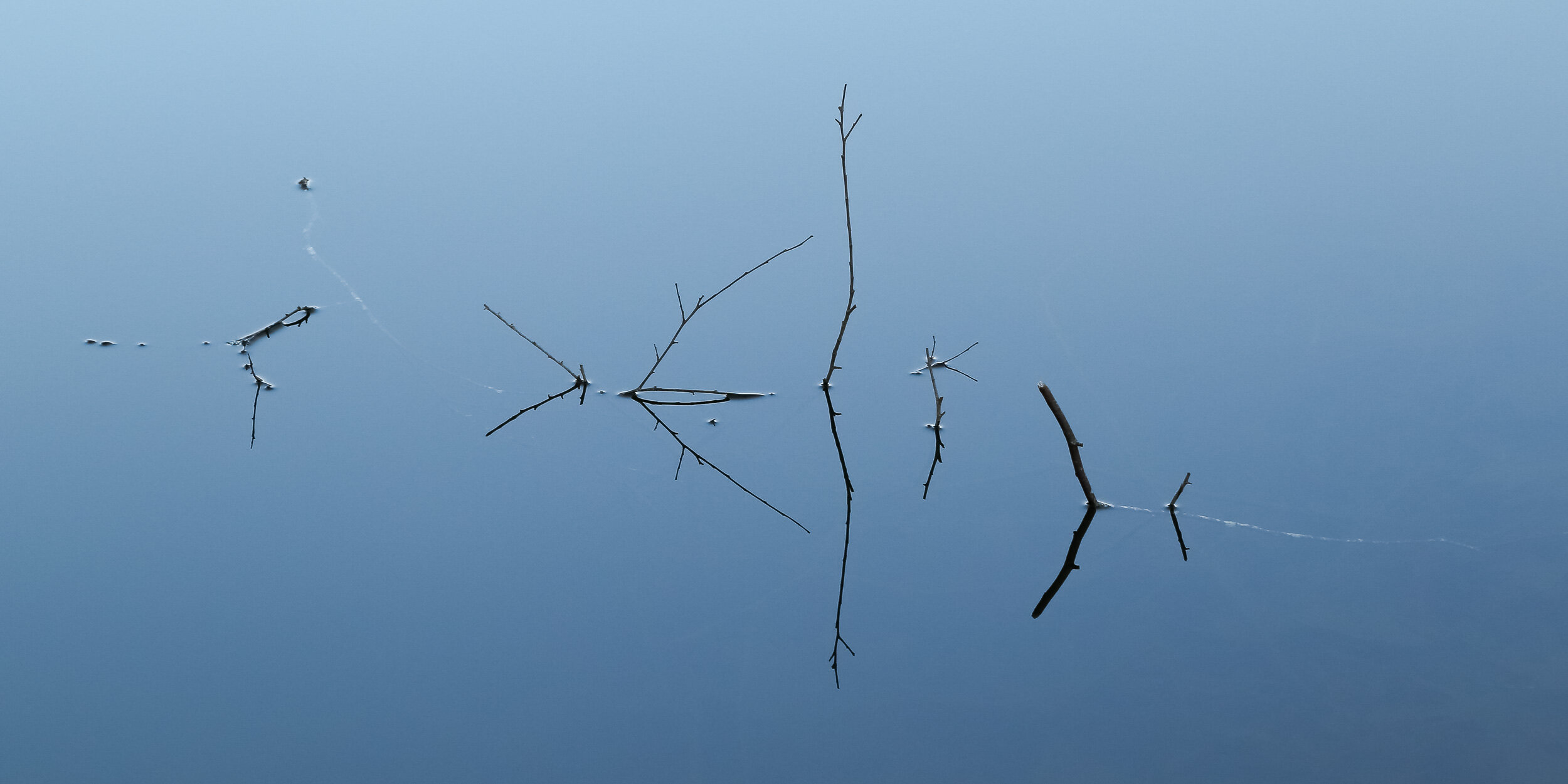 abstract-nature.jpg