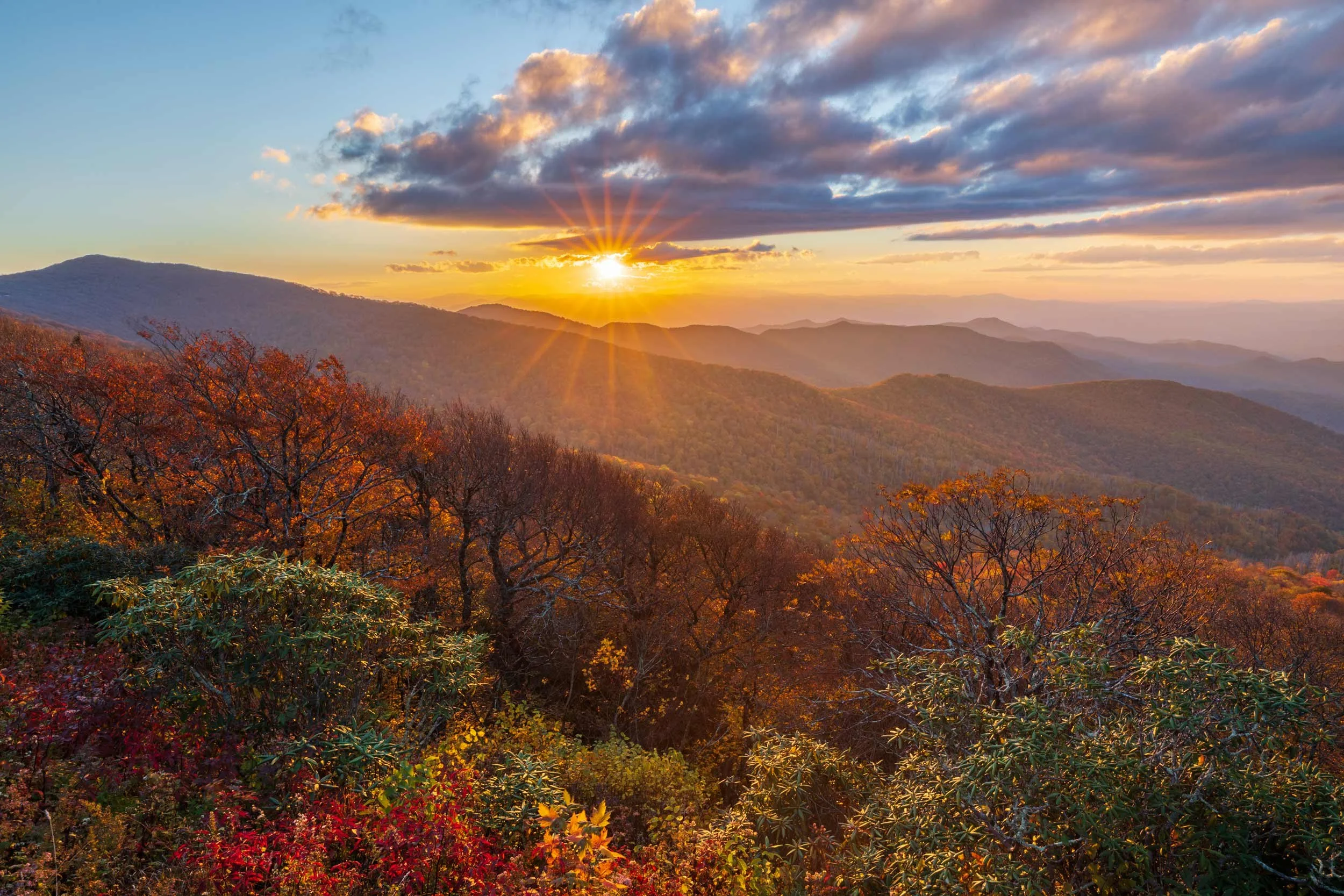 Craggy Gardens Fall, BRP