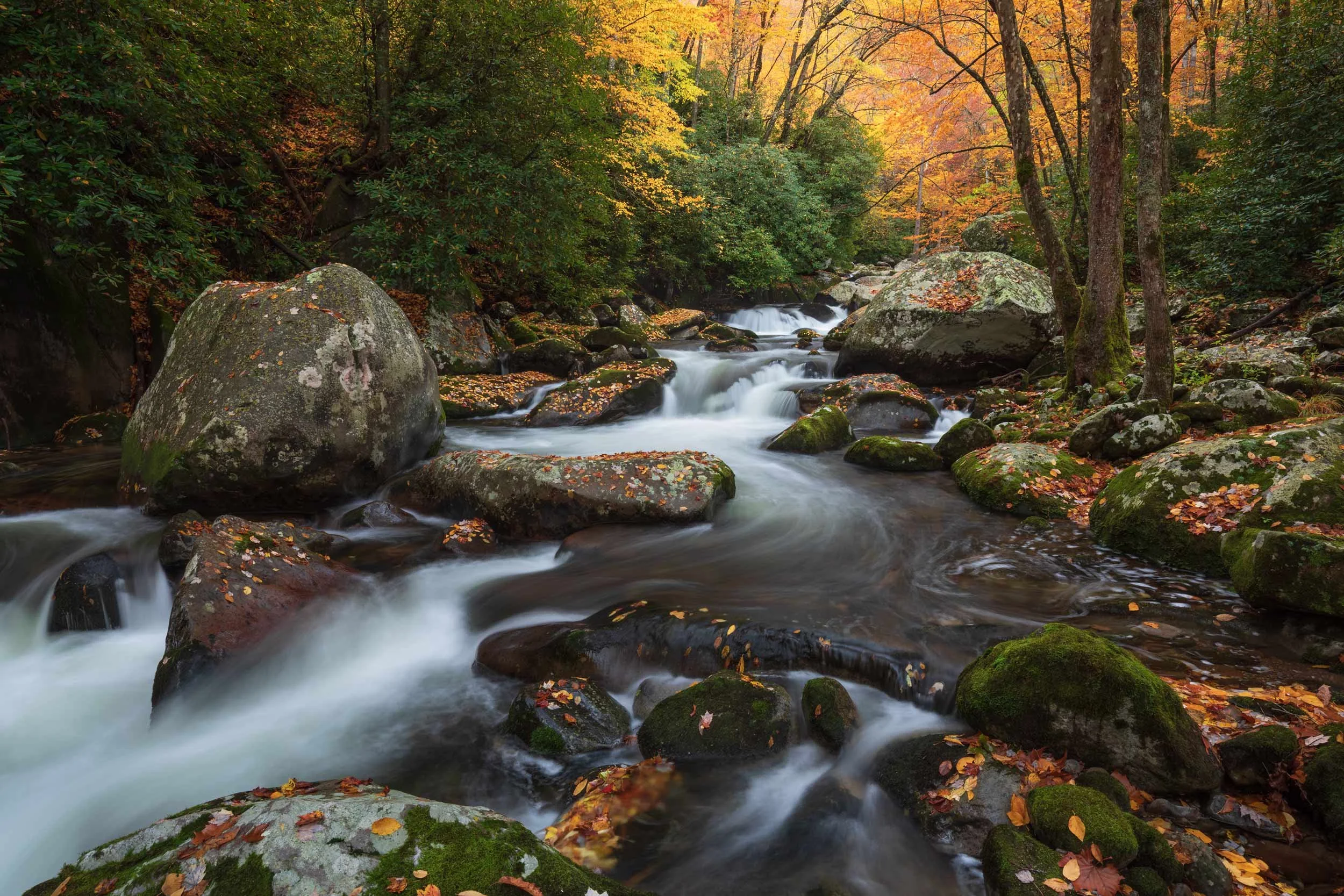 big-creek-fall-classic.jpg