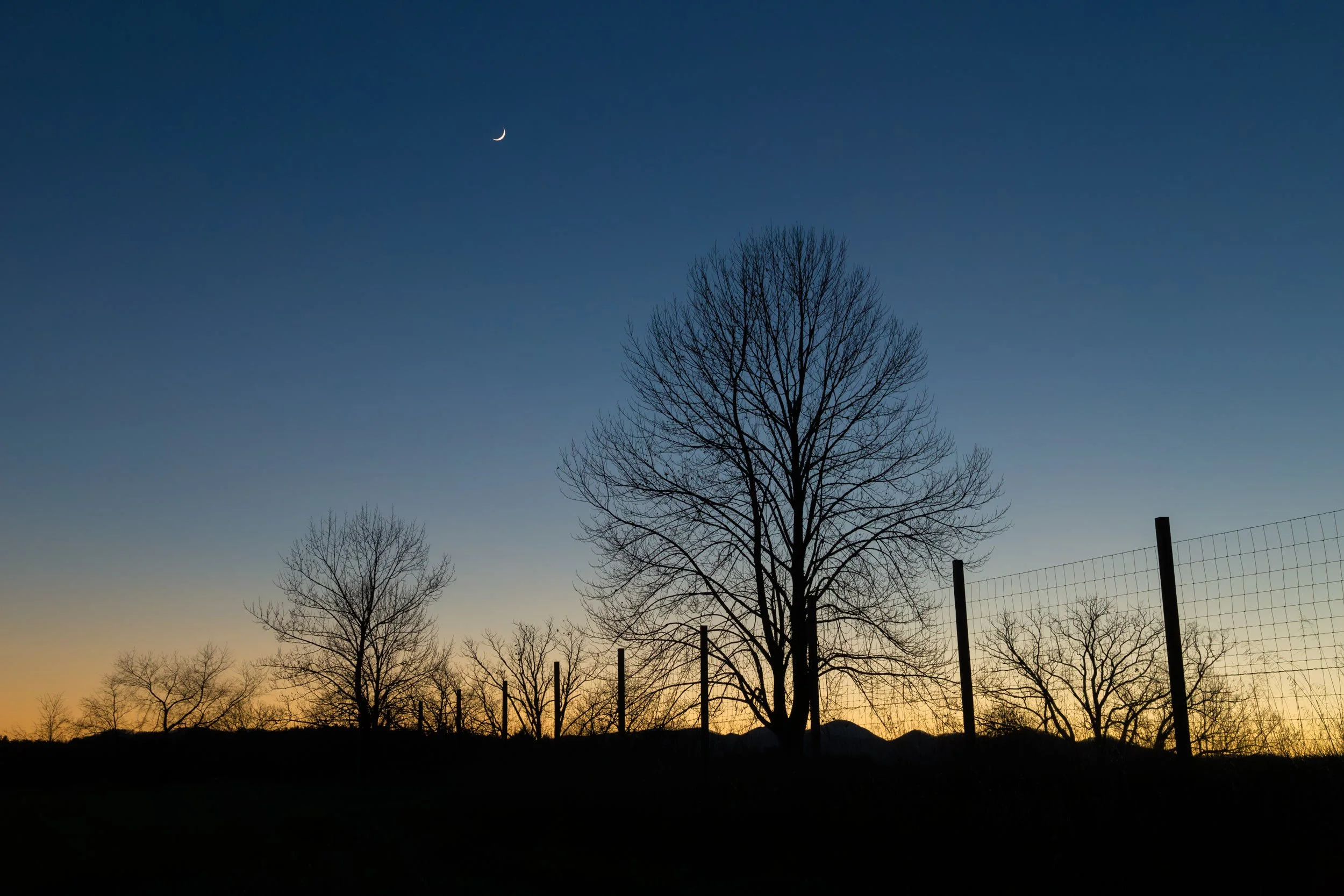 Sarah's Sunset, Biltmore Estate