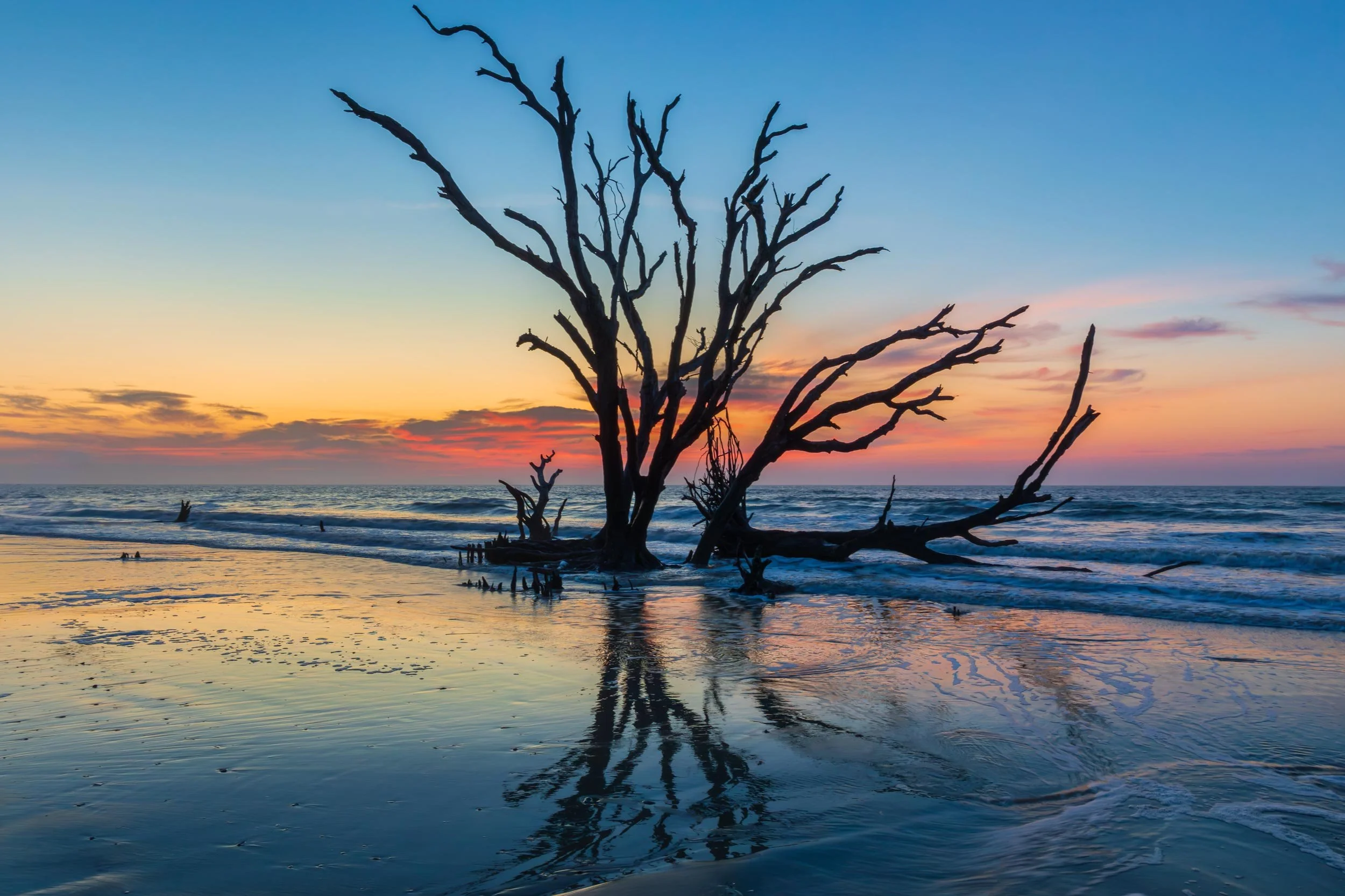 Boneyard Beach, Edisto Island S.C.