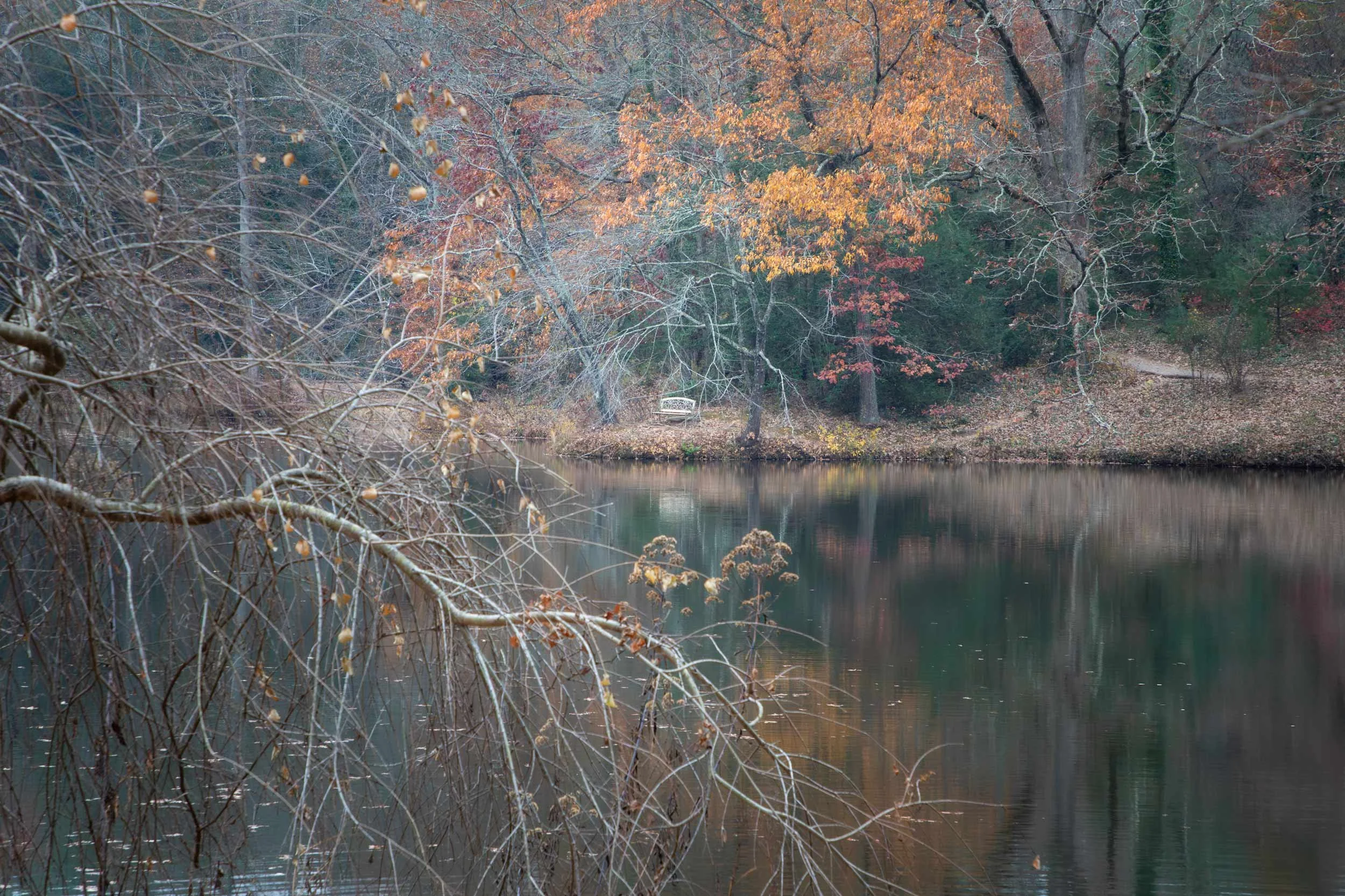 Bass Pond in November