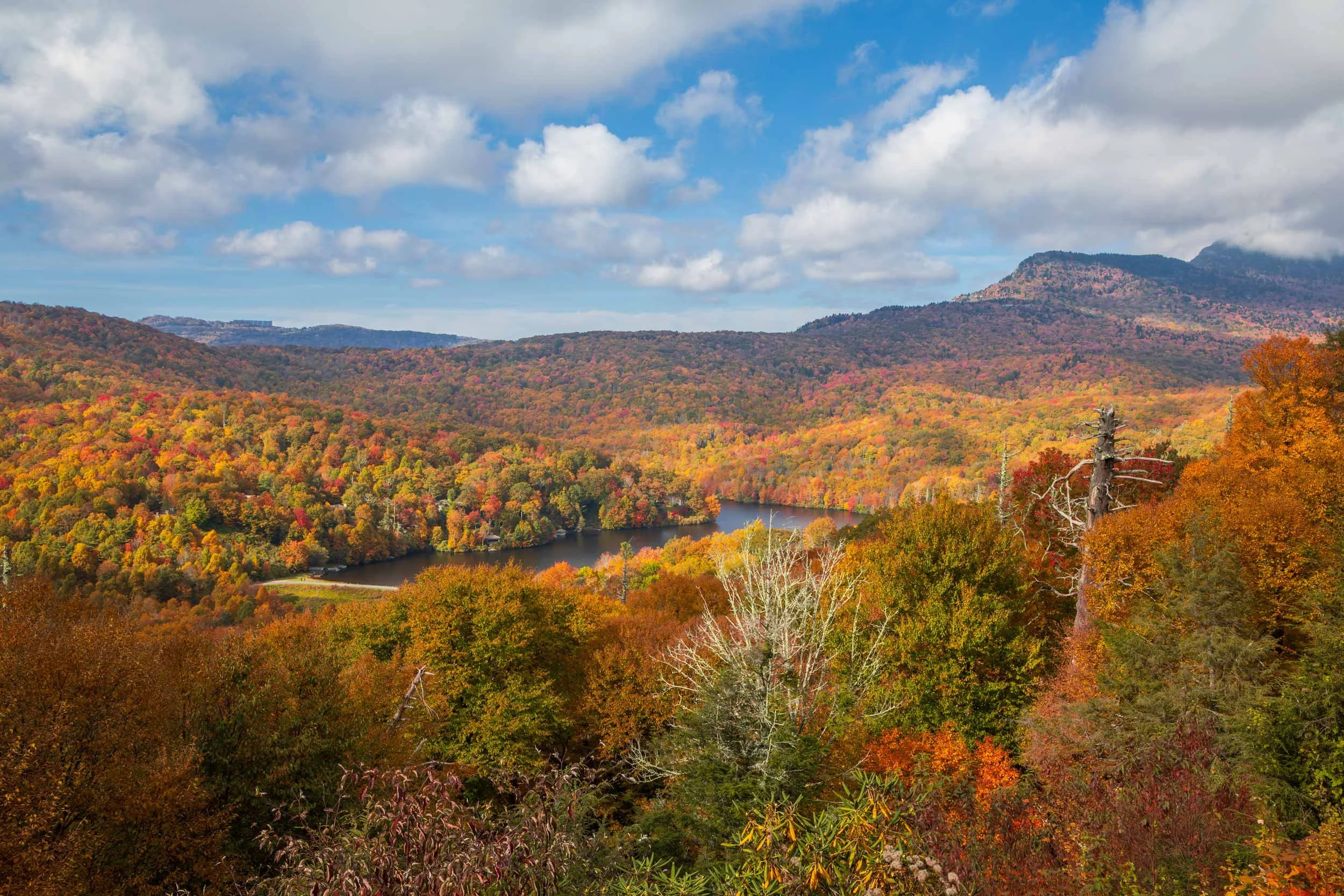 Grandfather Mountain Fall