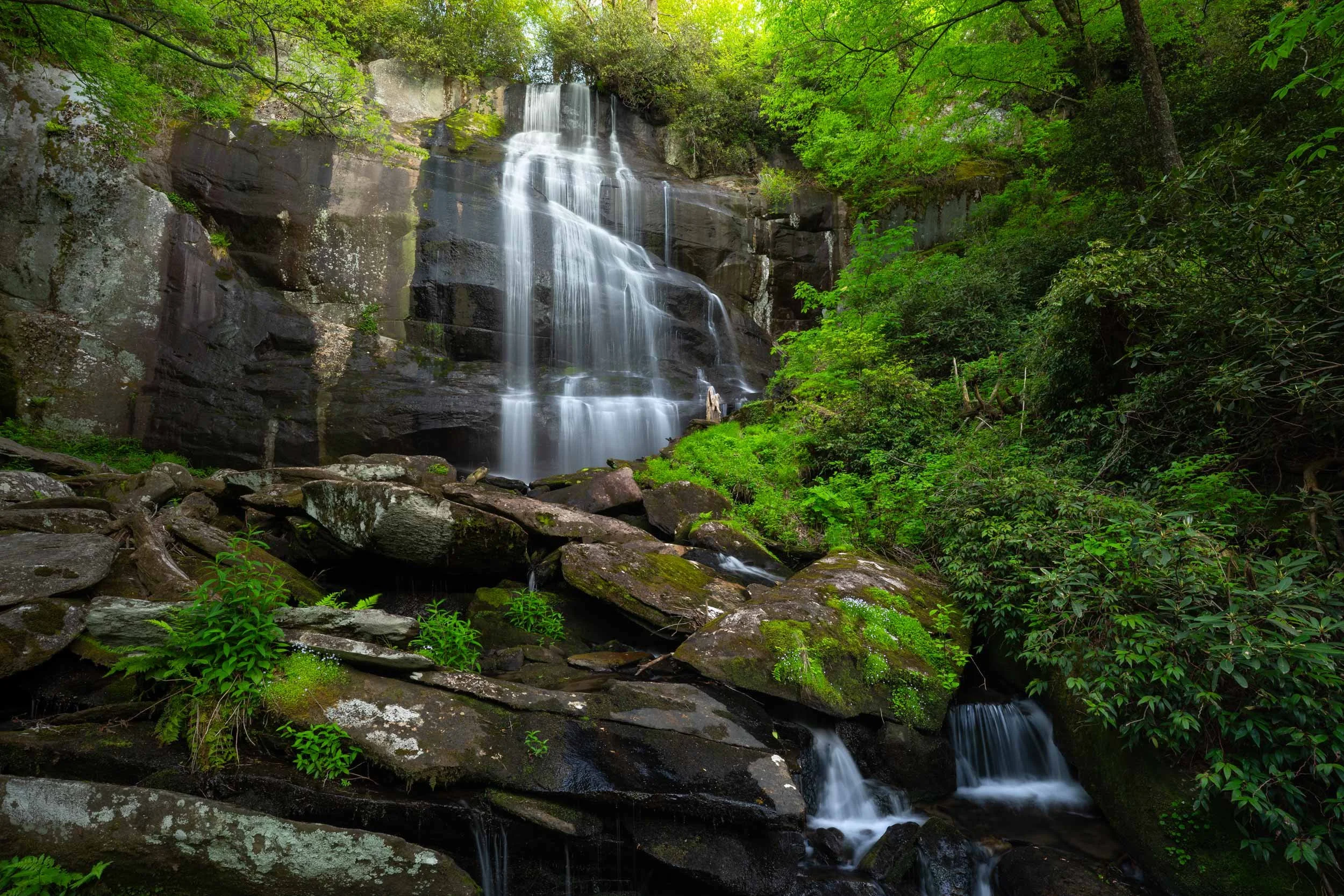 Falls Branch Falls TN