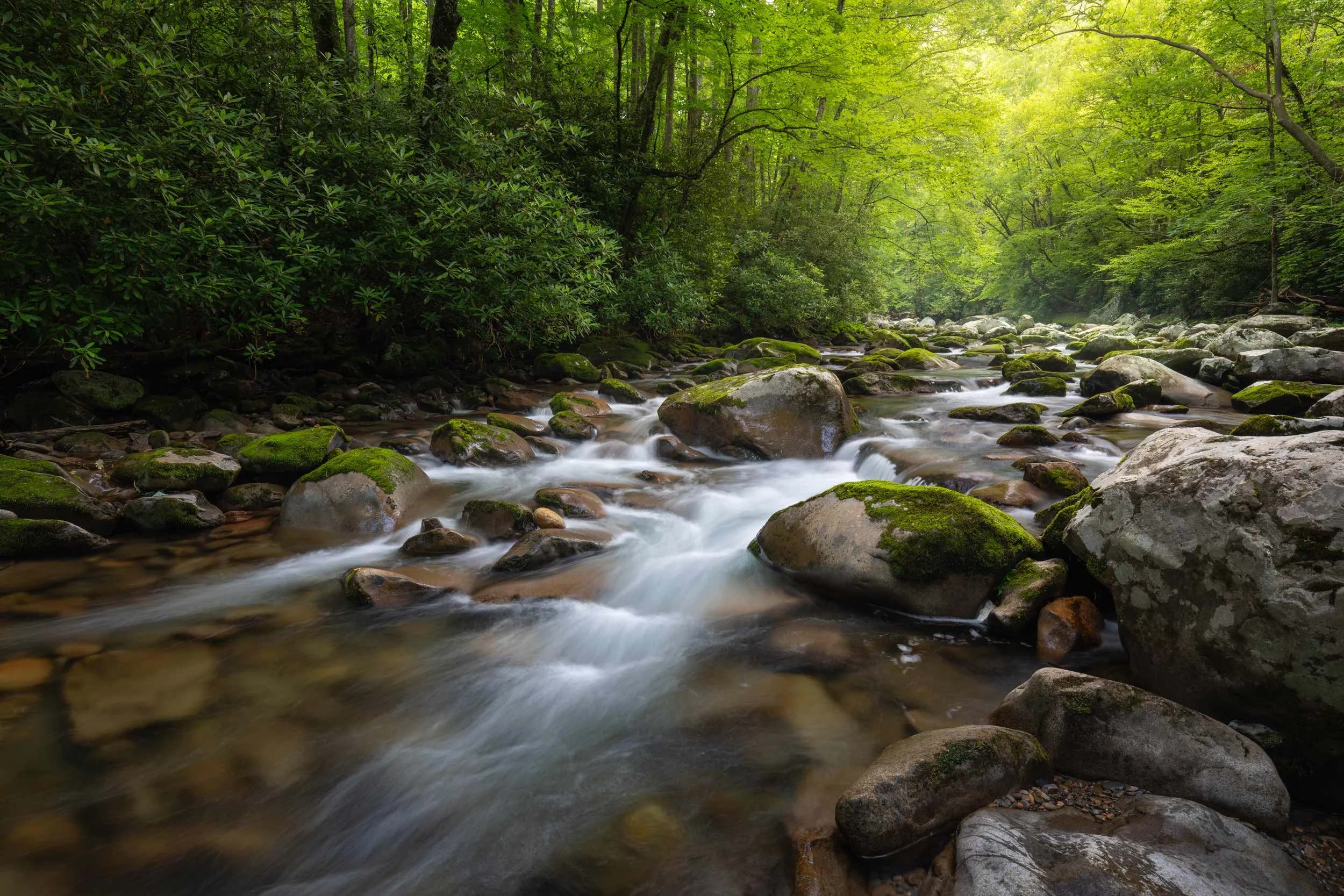 Light Around the Bend, Big Creek, GSMNP
