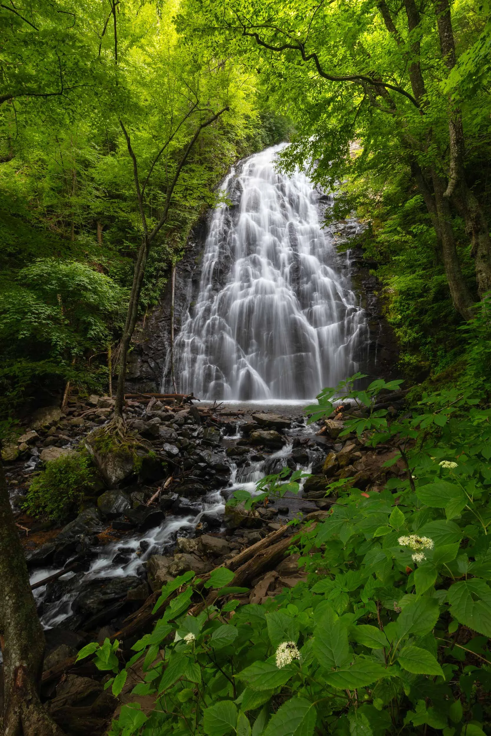 Crabtree Falls N.C.