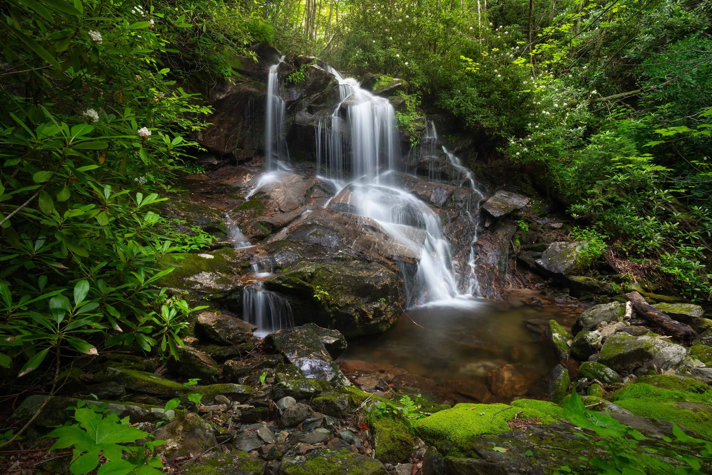 Herrin Knob Falls N.C.