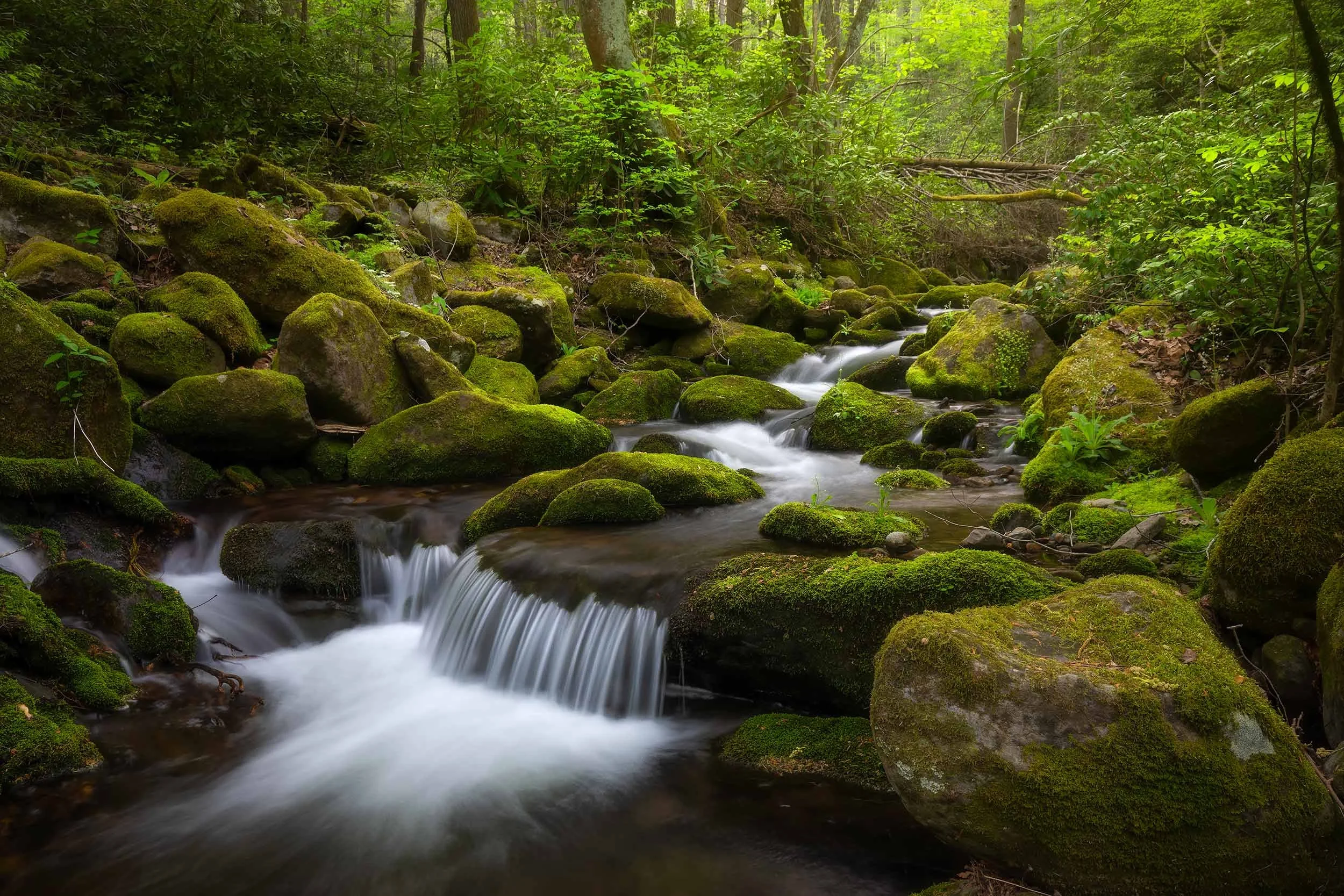 Dream Cascade at Big Creek GSMNP