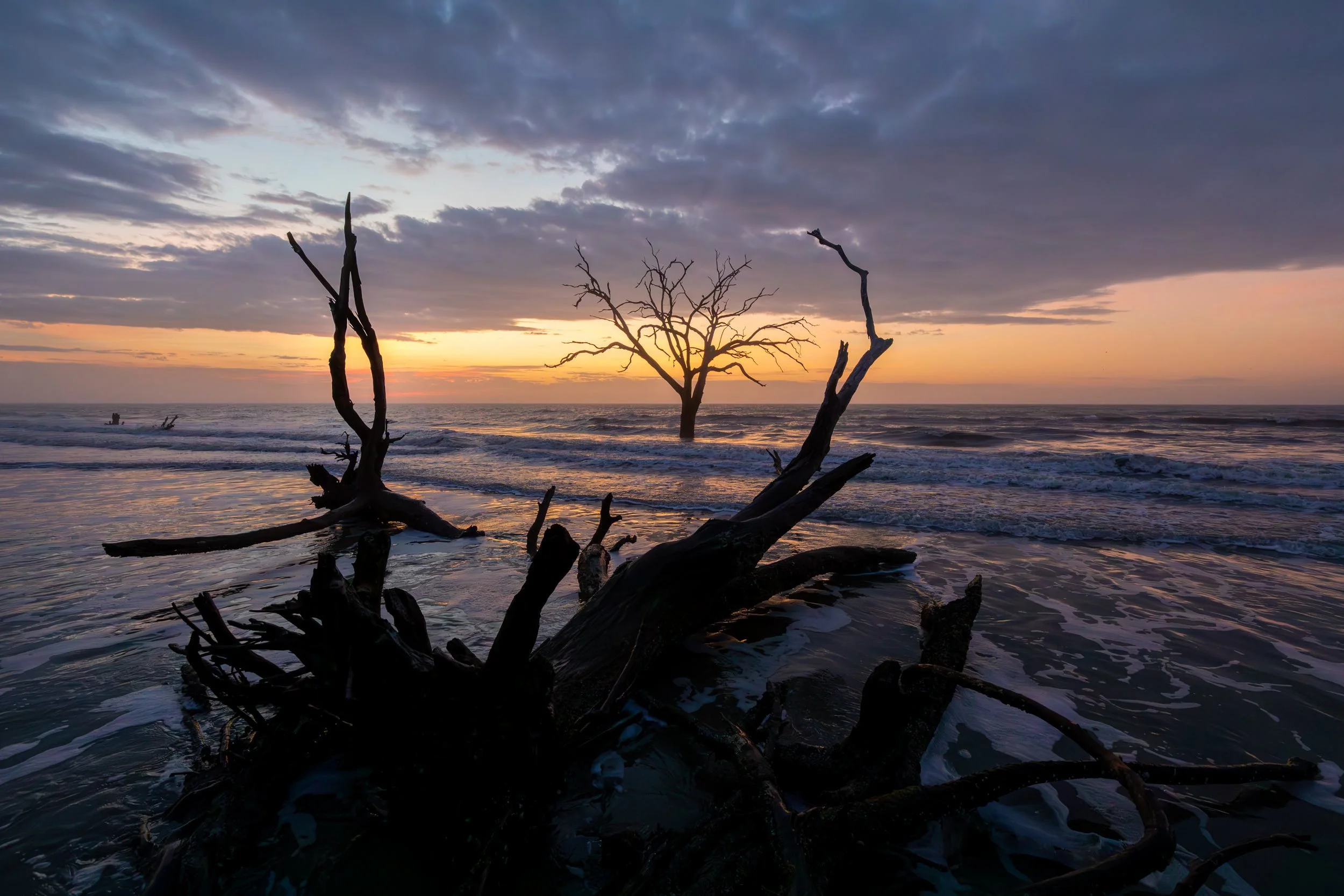 Dancing Bones Sunrise at Edisto Island S.C. 