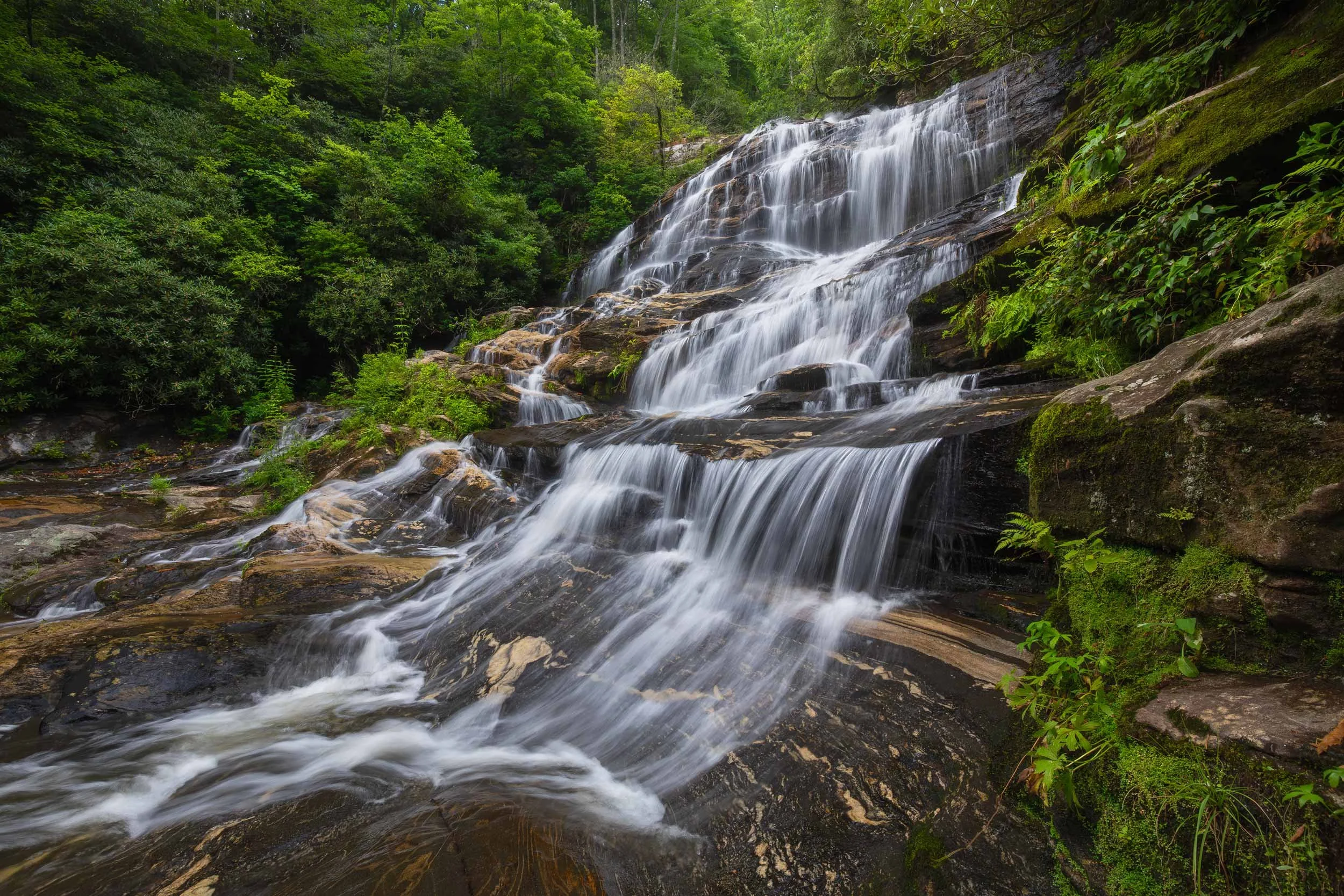 Lower Glen Falls N.C.